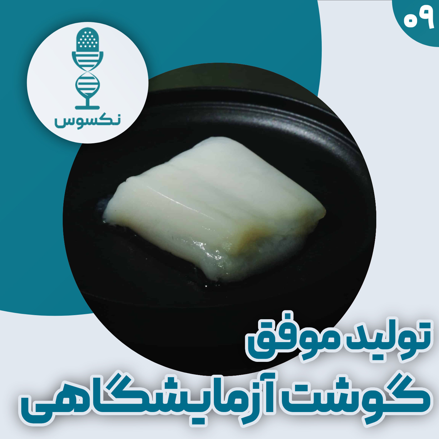 ۹— تولید گوشت آزمایشگاهی: تولید موفقیت‌آمیز تکه گوشتی به اندازه ناگت مرغ