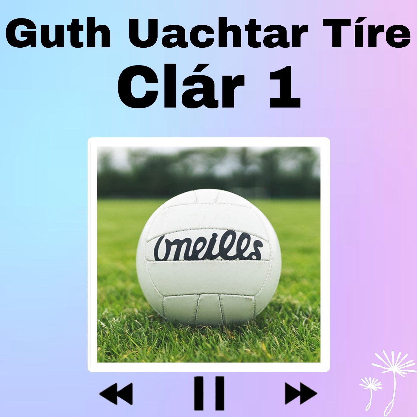 Guth Uachtar Tíre