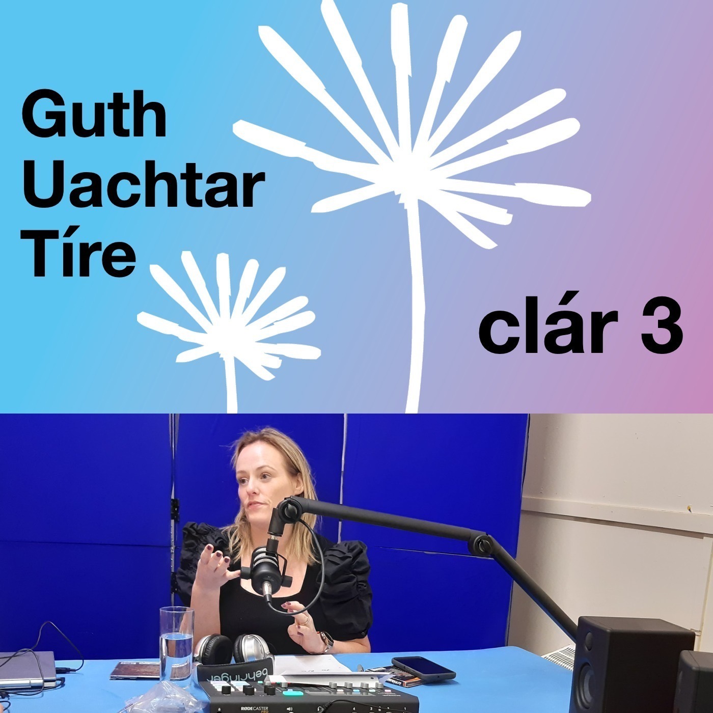 Guth Uachtar Tíre