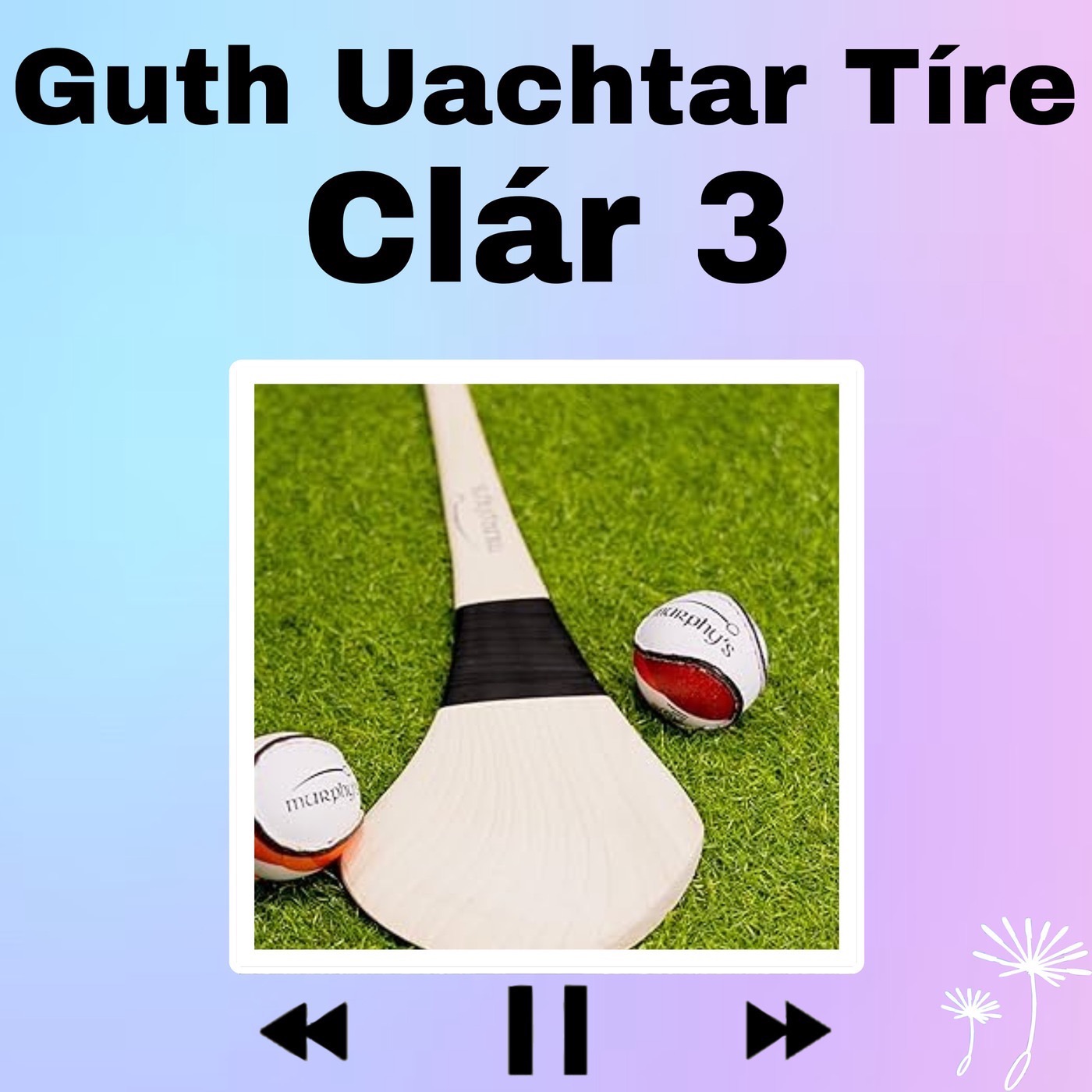Guth Uachtar Tíre