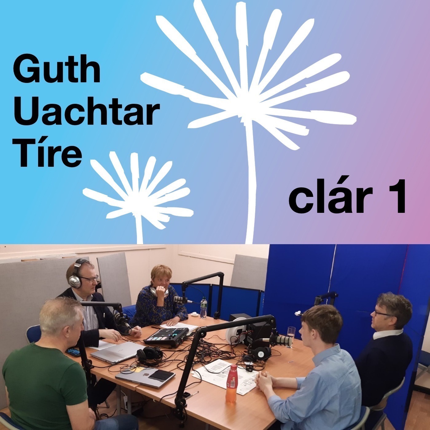 Guth Uachtar Tíre