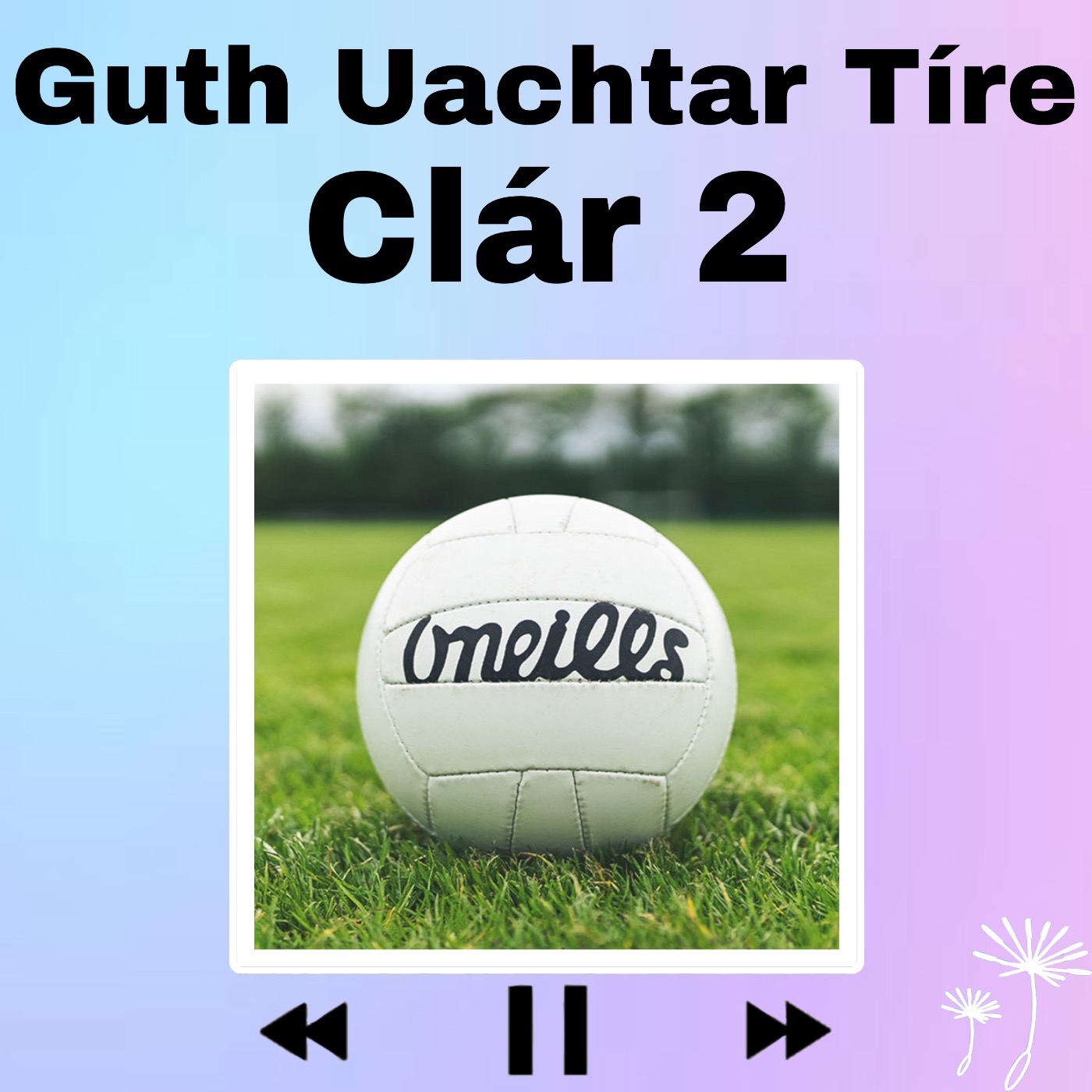 Guth Uachtar Tíre