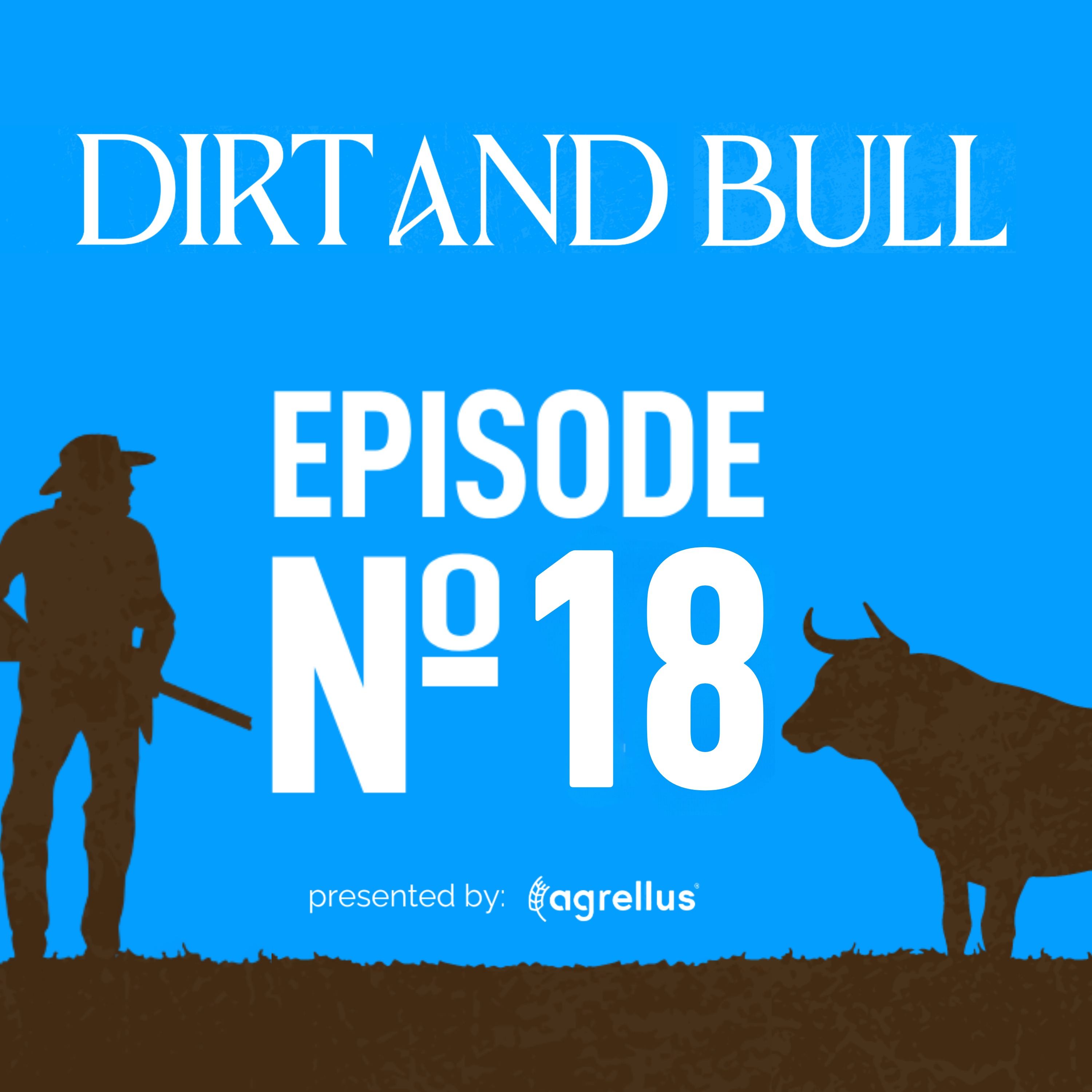 Dirt and Bull