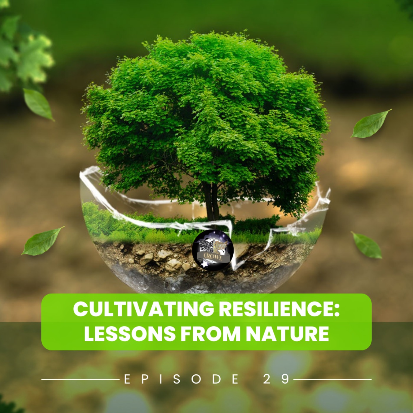 Episode 29: Cultivating Resilience episode artwork