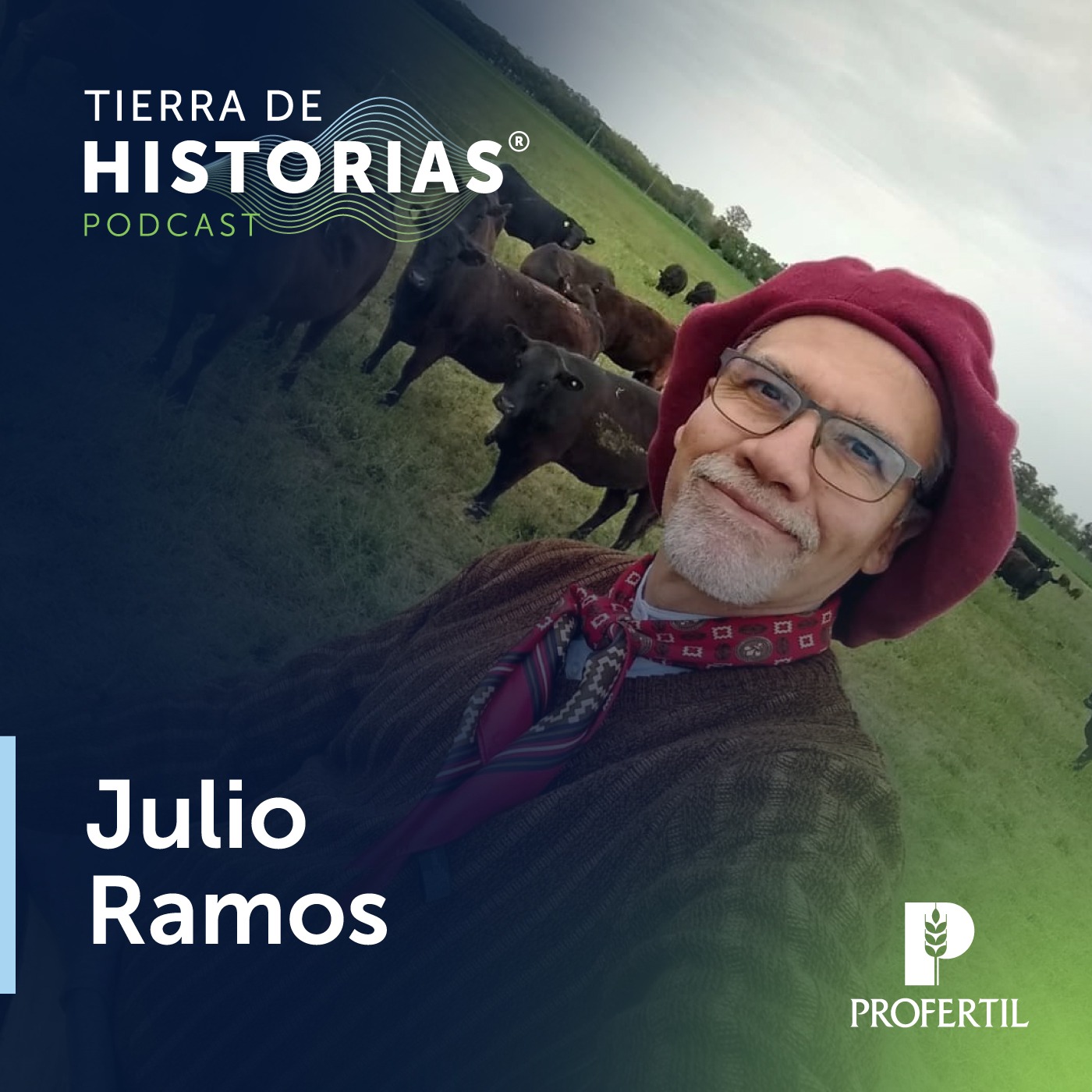 Tierra de Historias
