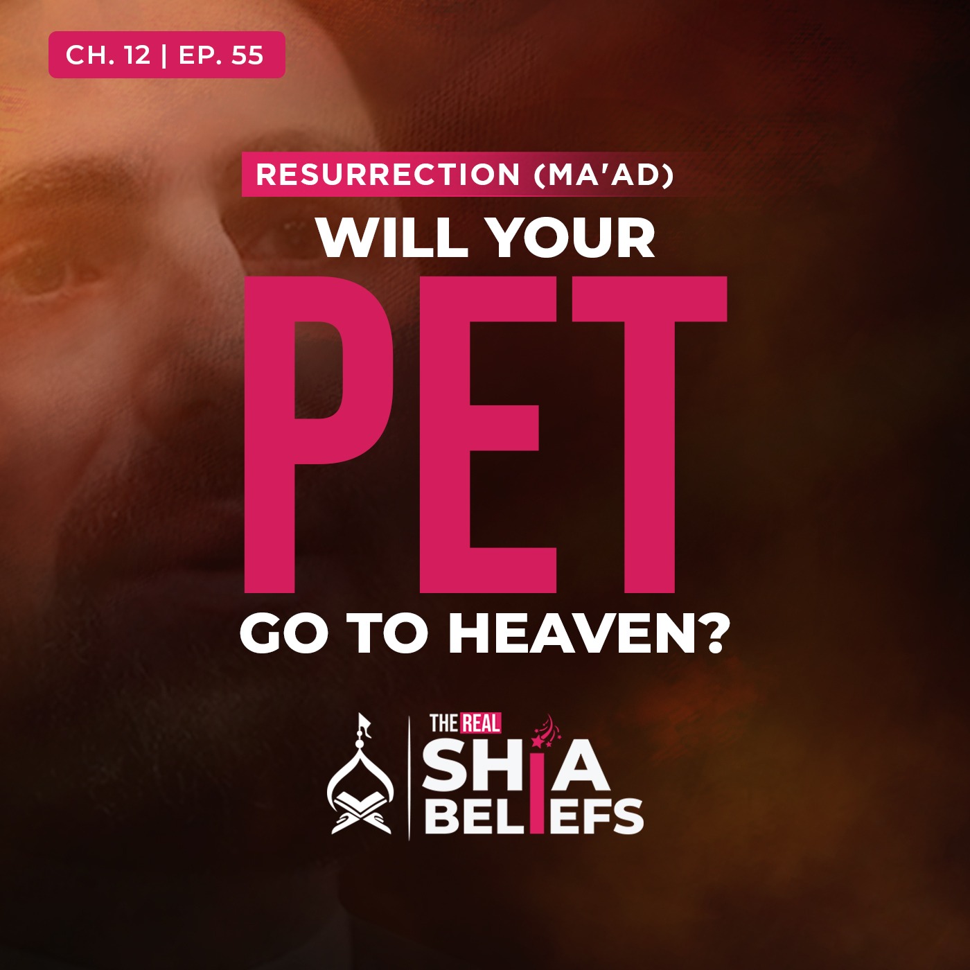 The Real Shia Beliefs