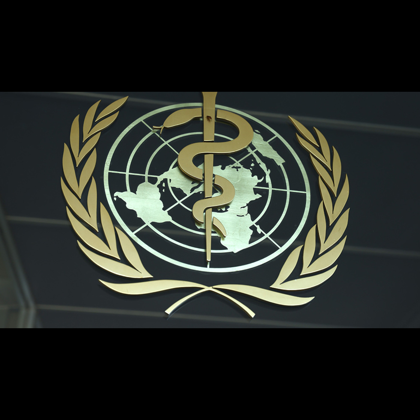 WHO’s PANDEMIC AGREEMENT just a ploy to CONTROL every aspect of any SCAMDEMIC episode artwork