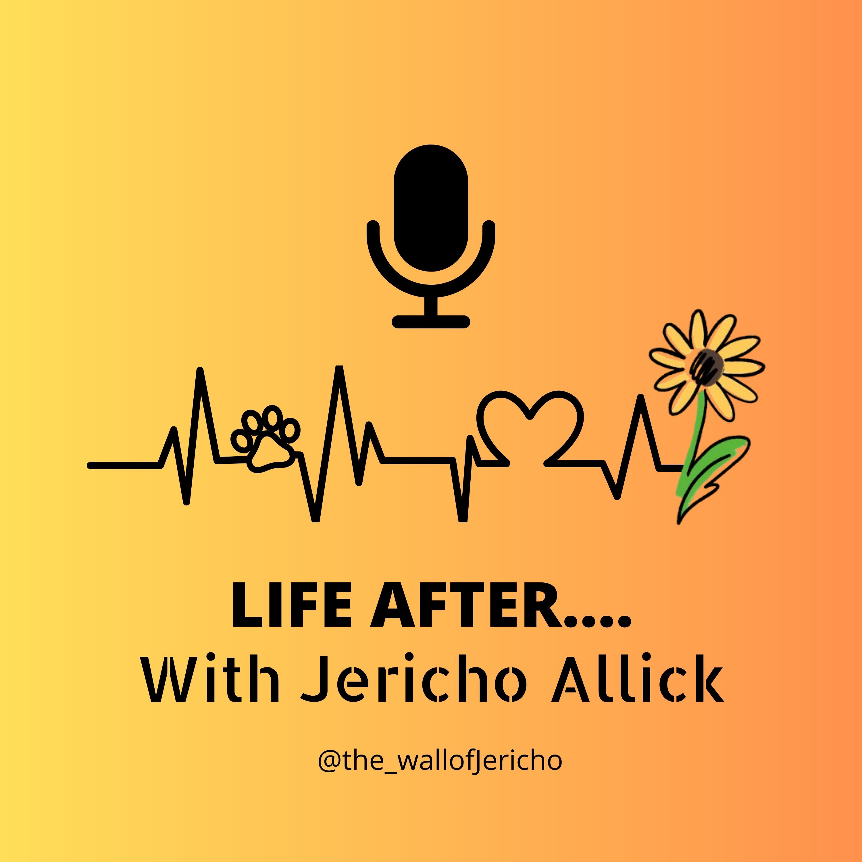 Life After.... podcast artwork