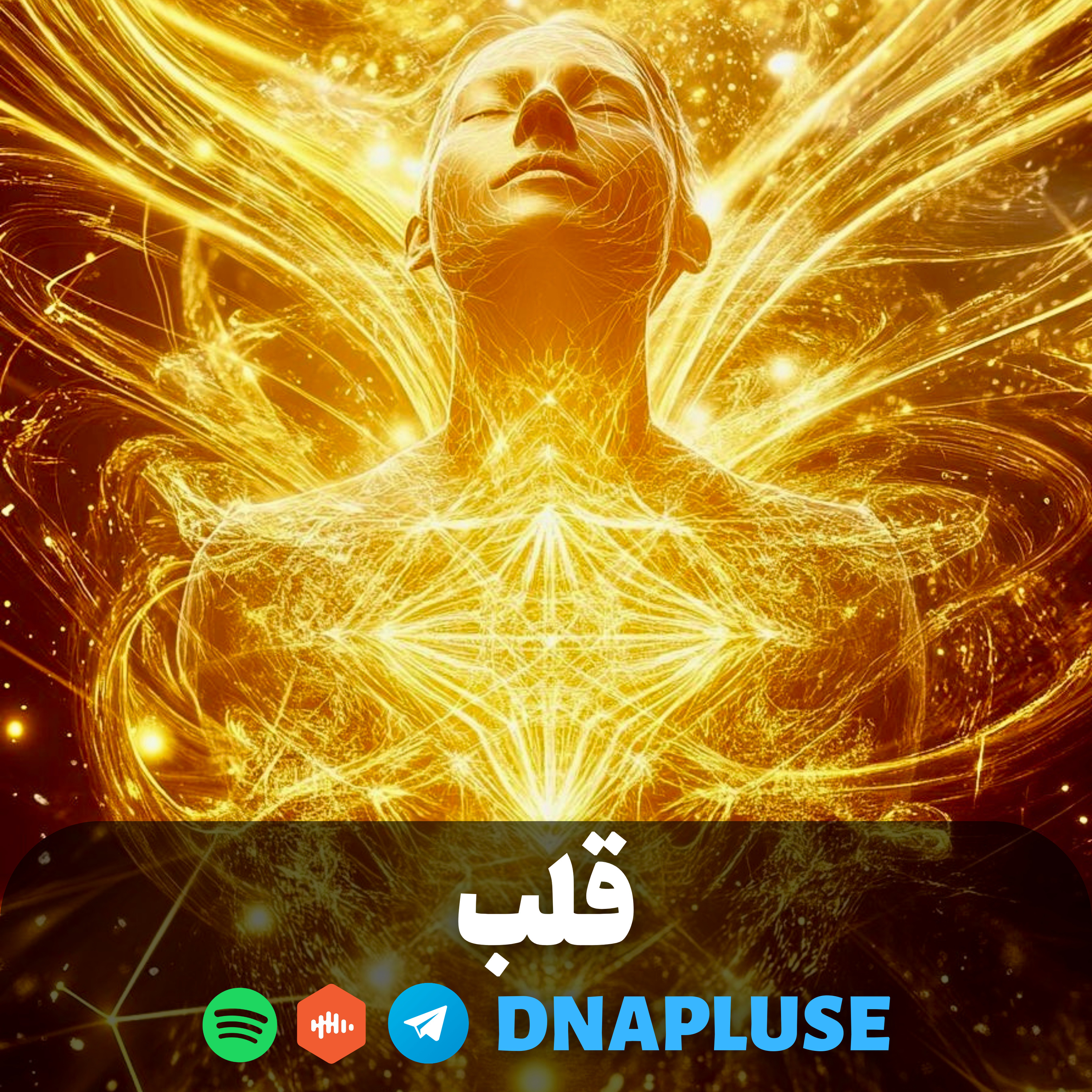 قلب (Live)