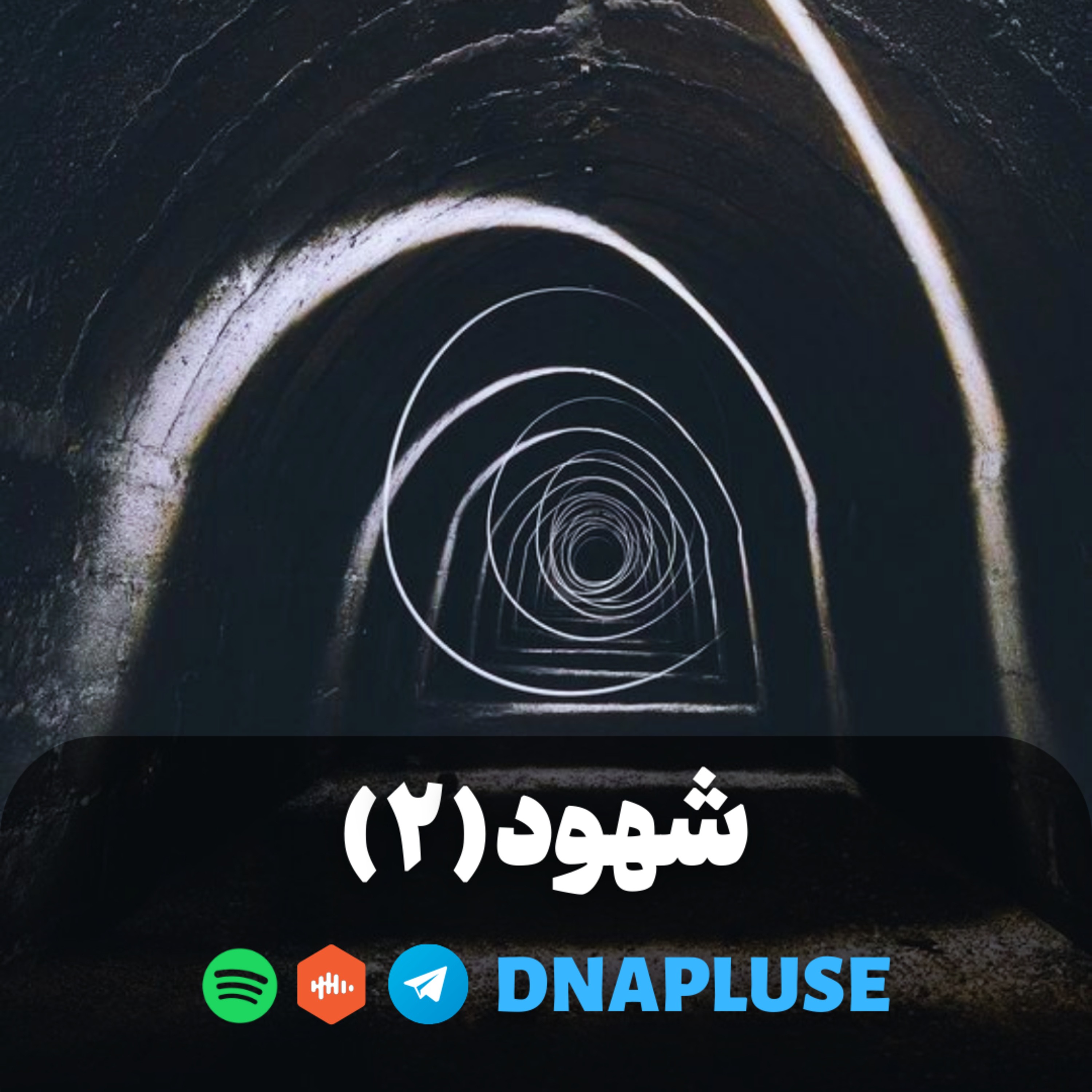 (شهود (قسمت دوم