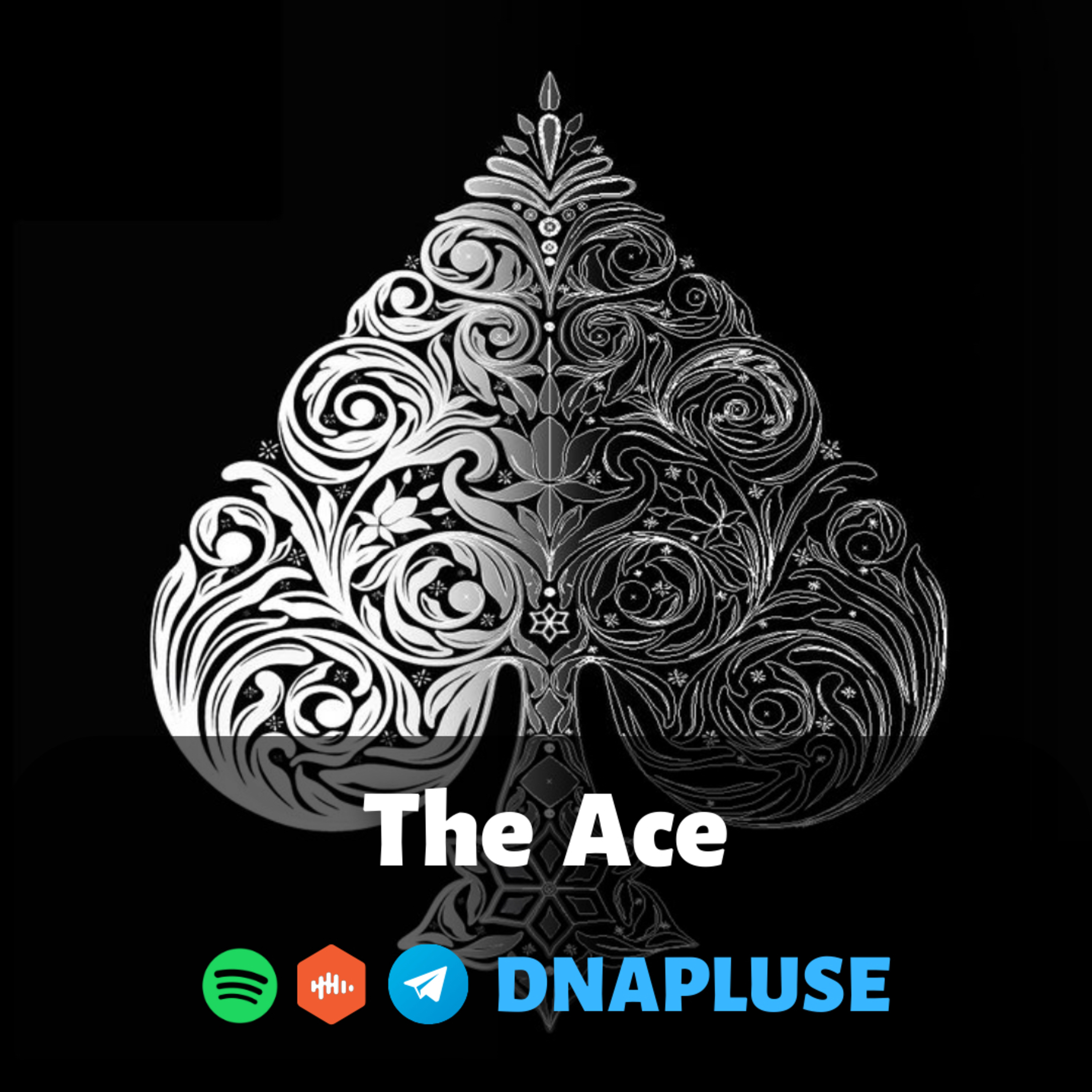 The Ace ♠️ (Live)