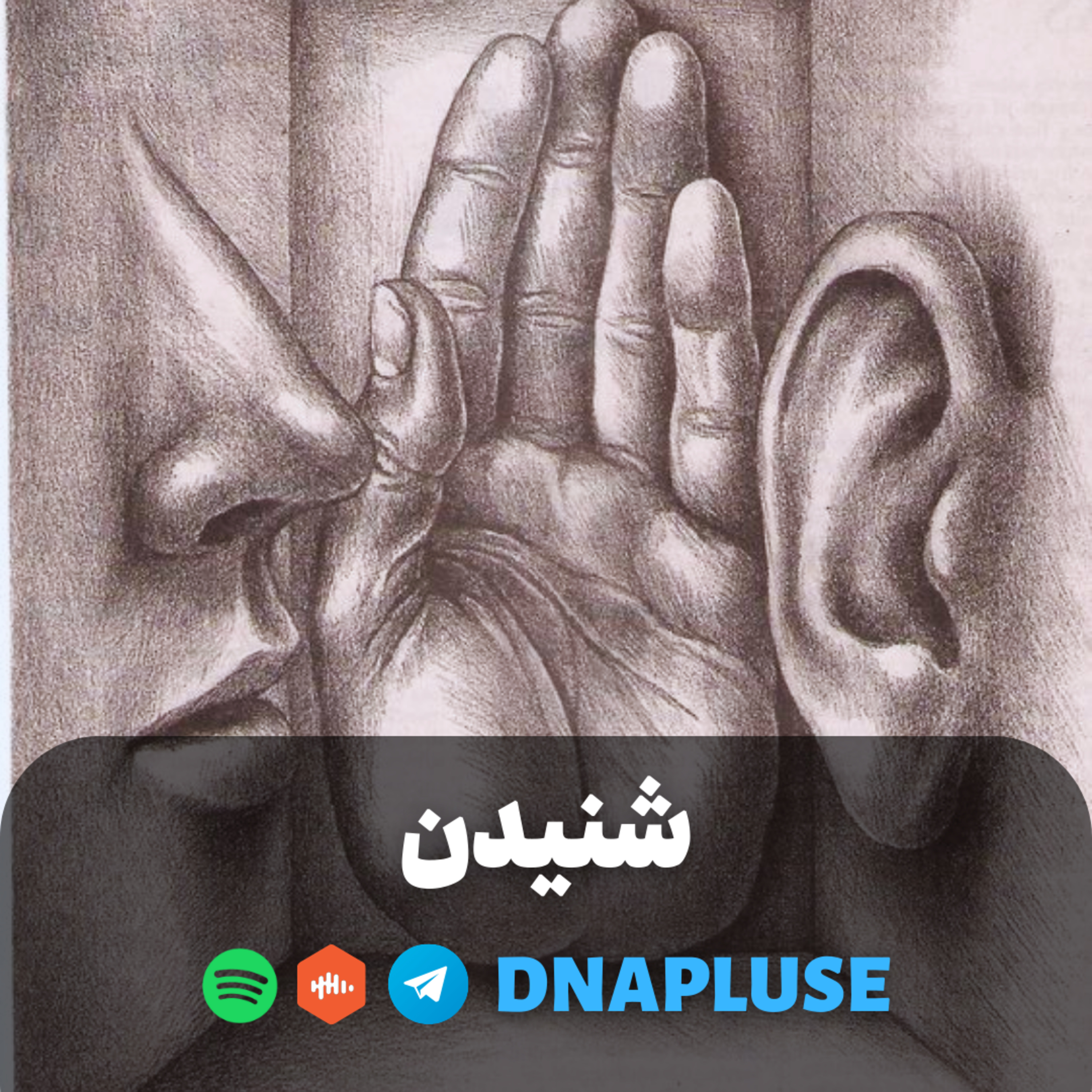 شنیدن