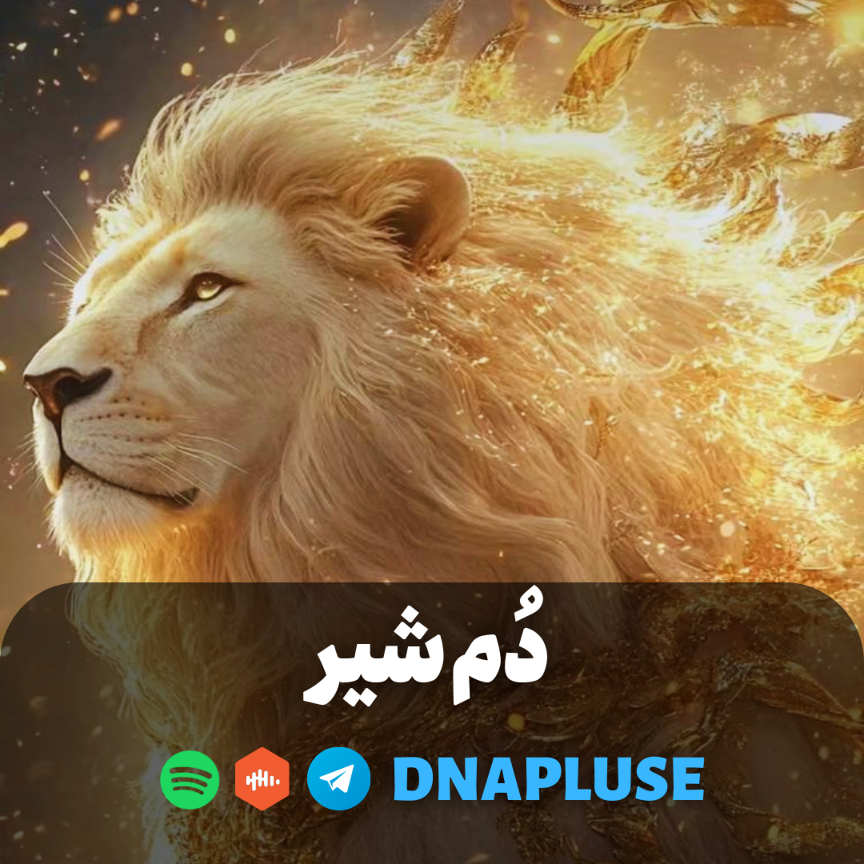 دُم شير(Live)