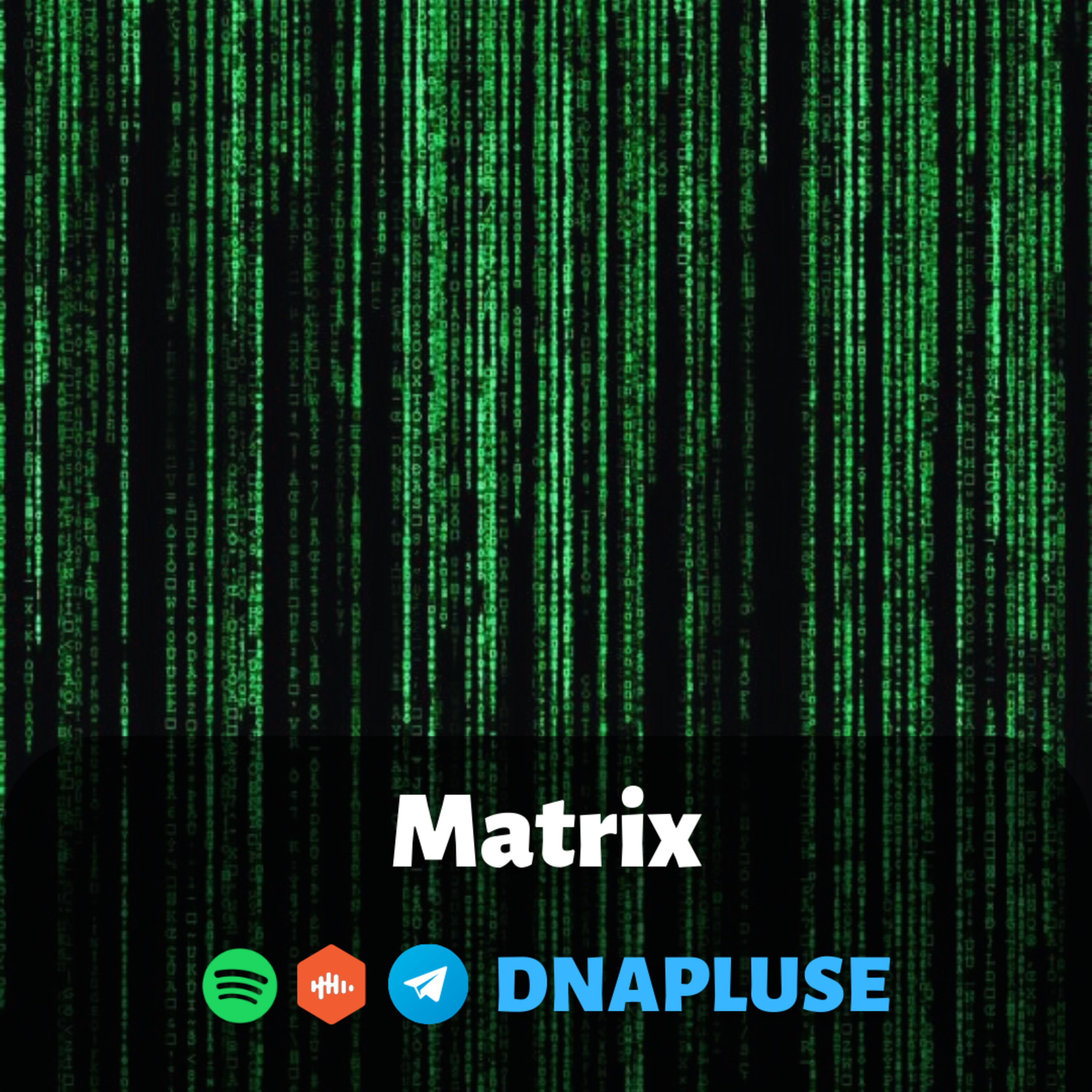 Matrix