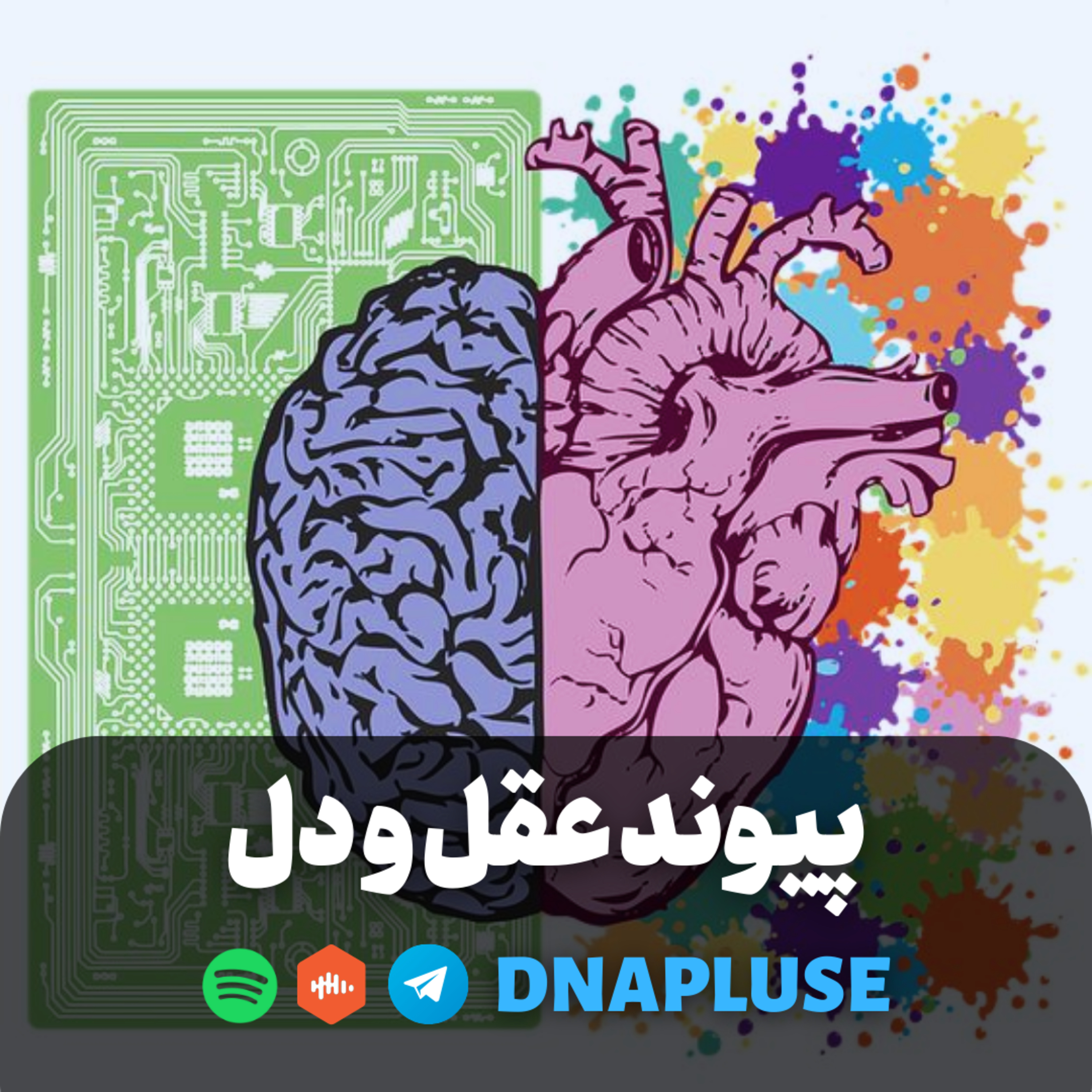 پیوند عقل و دل