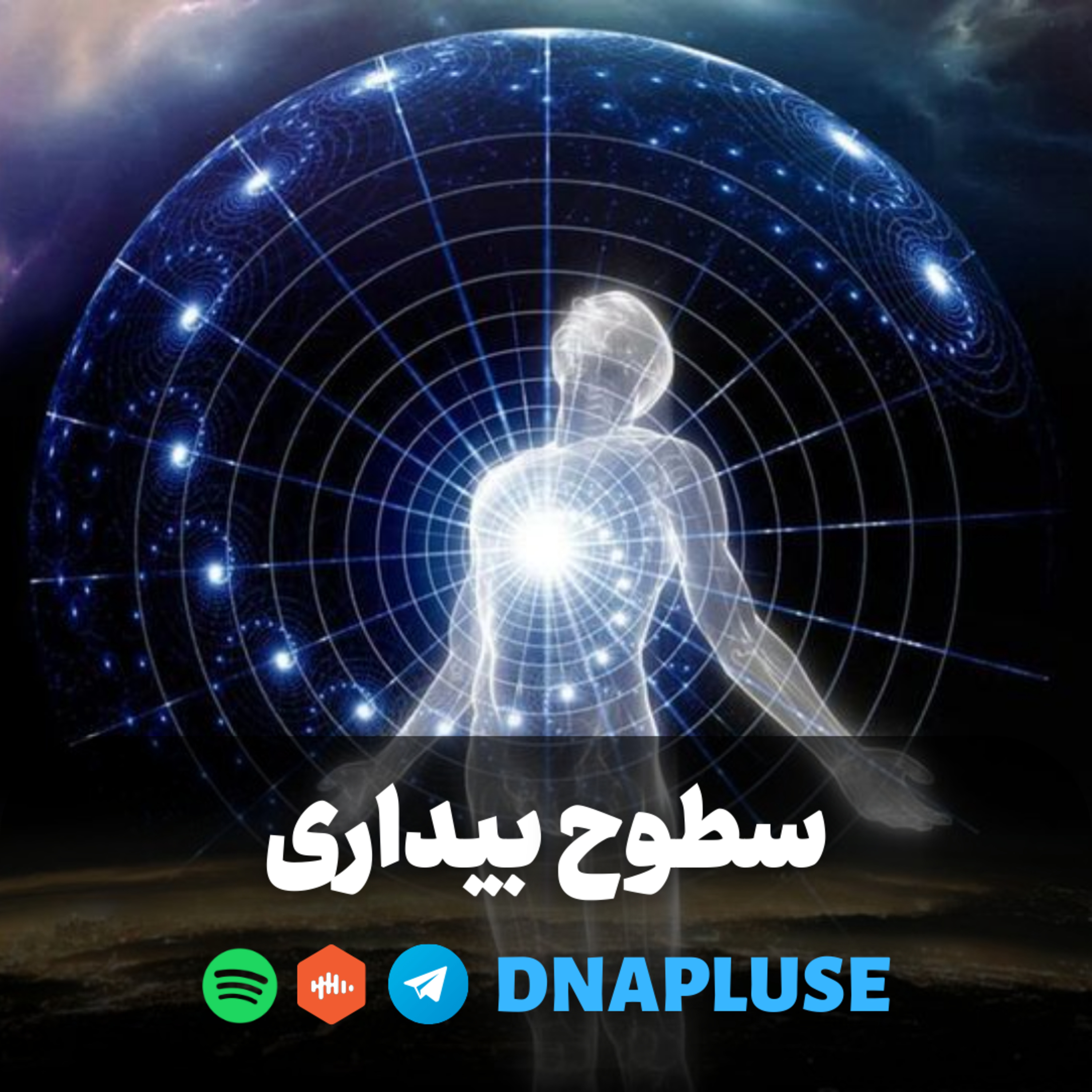 سطوح بیداری
