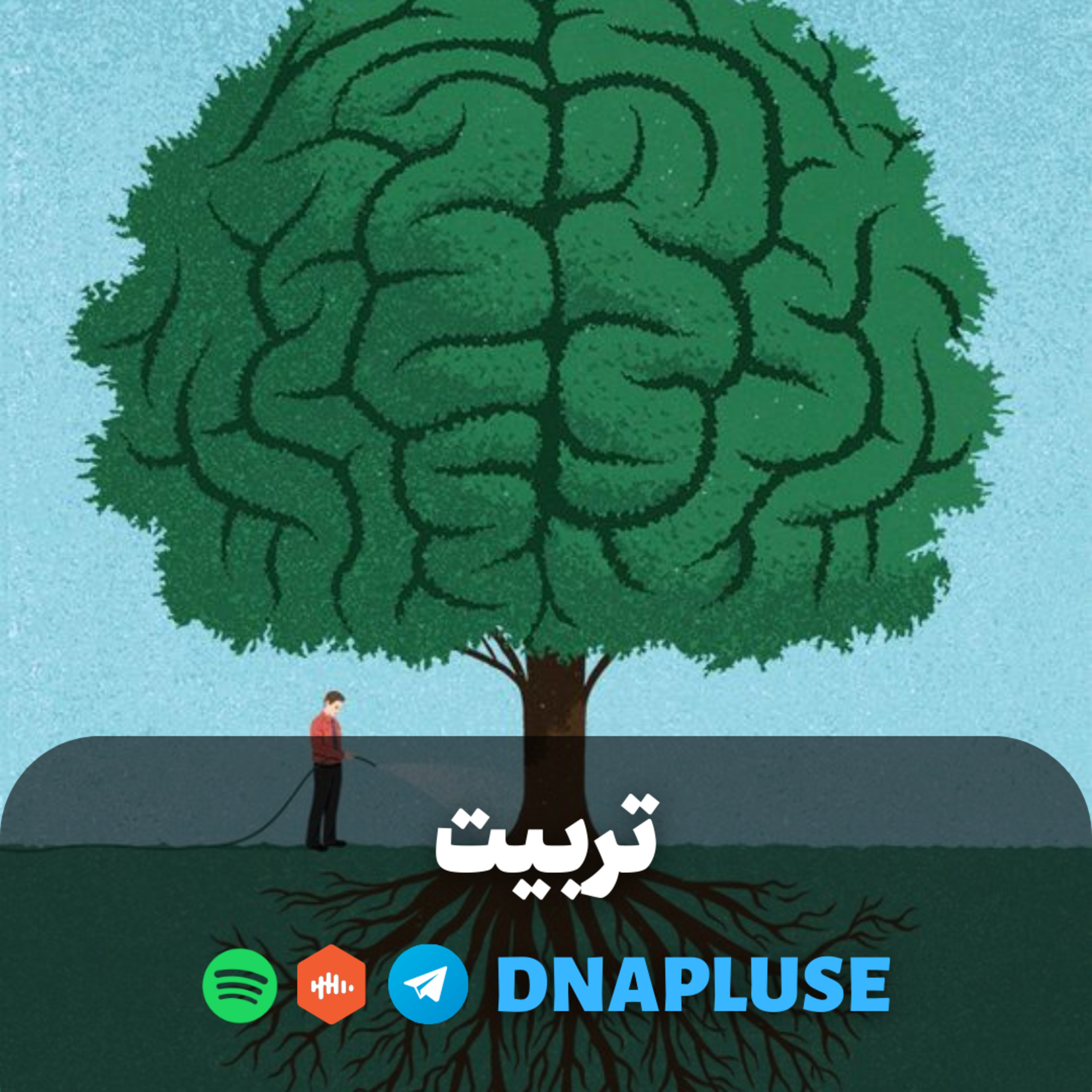 (Live) تربیت