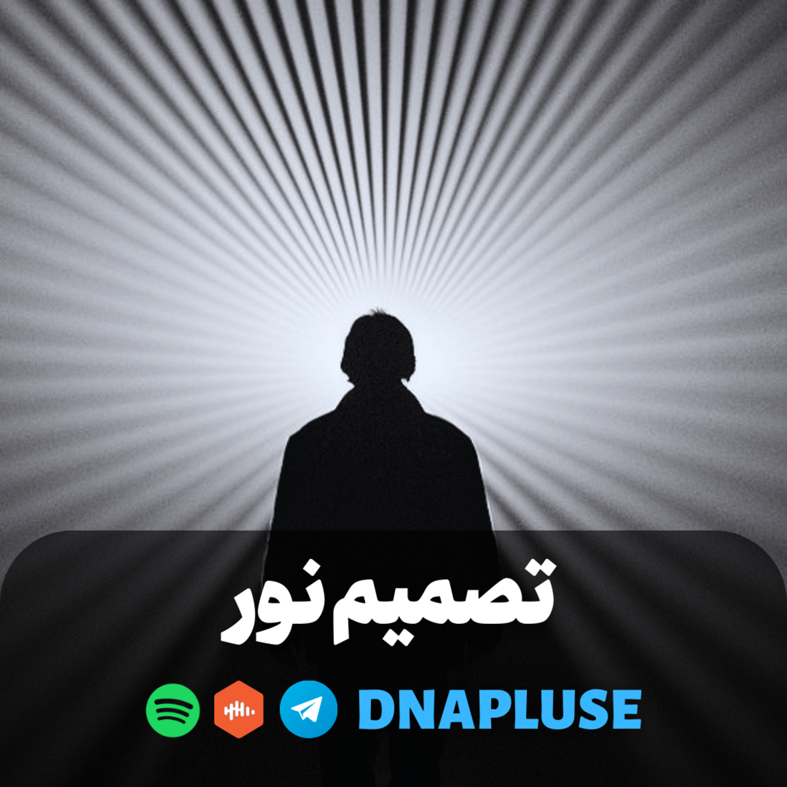 (Live) تصمیم نور