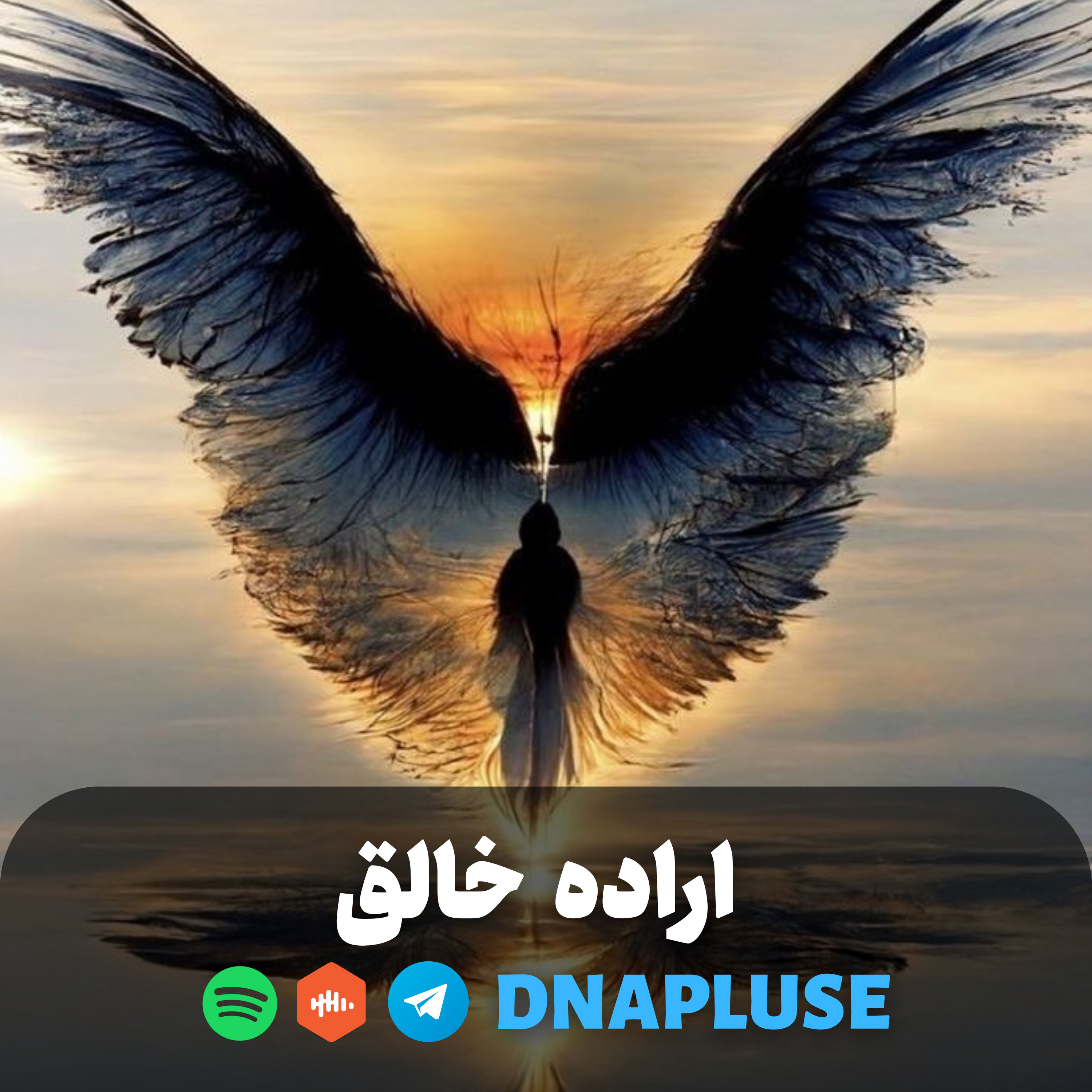 اراده خالق