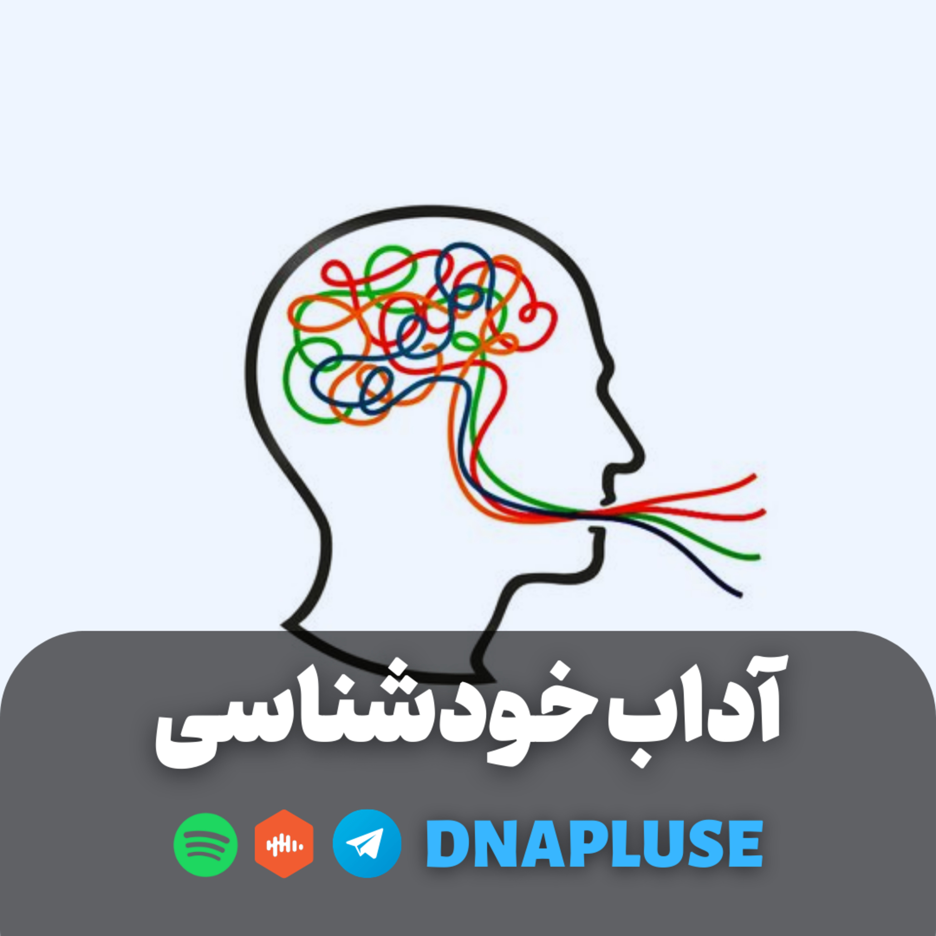 آداب خود شناسی