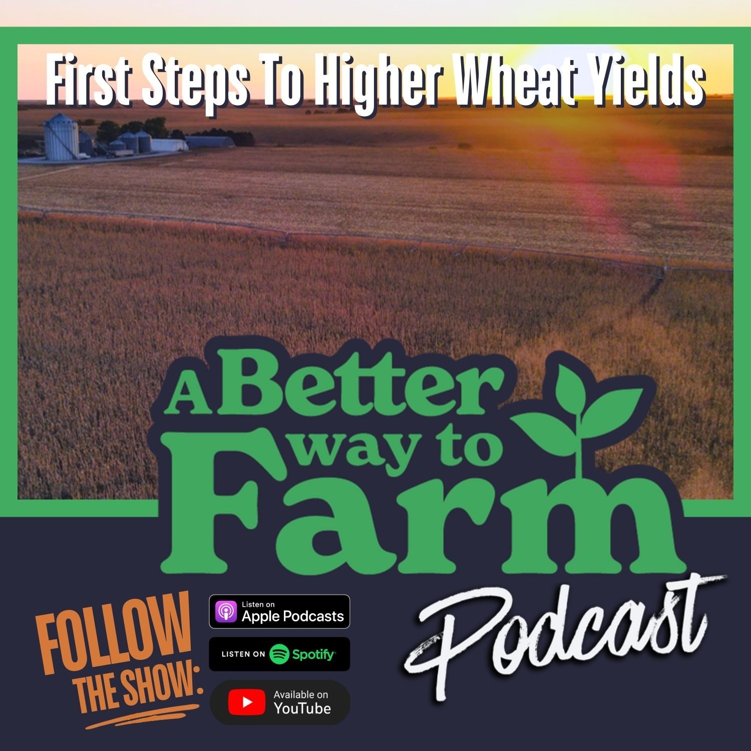 305: First Steps To Higher Wheat Yields