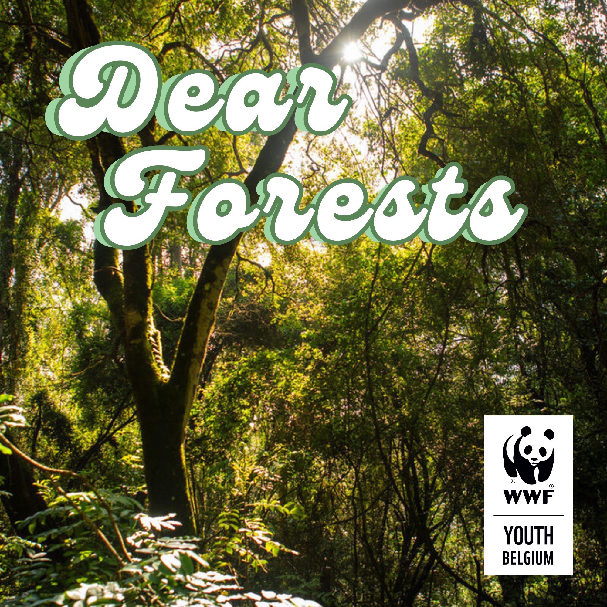 Episode 9: COP30 is in the Amazon Forest