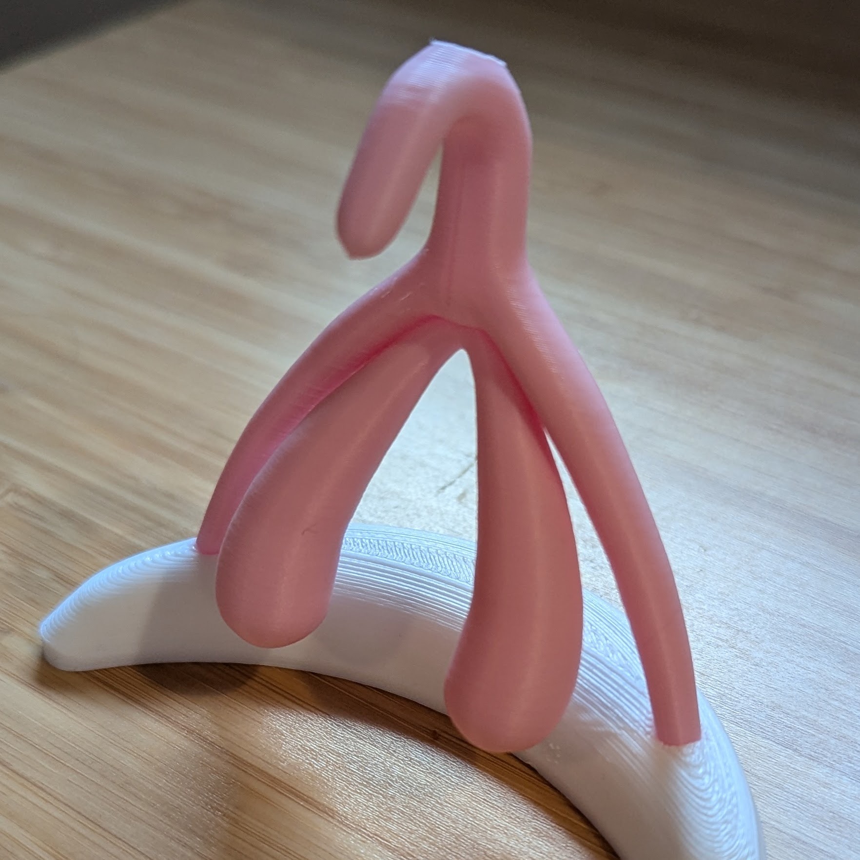 What does the clit look like?