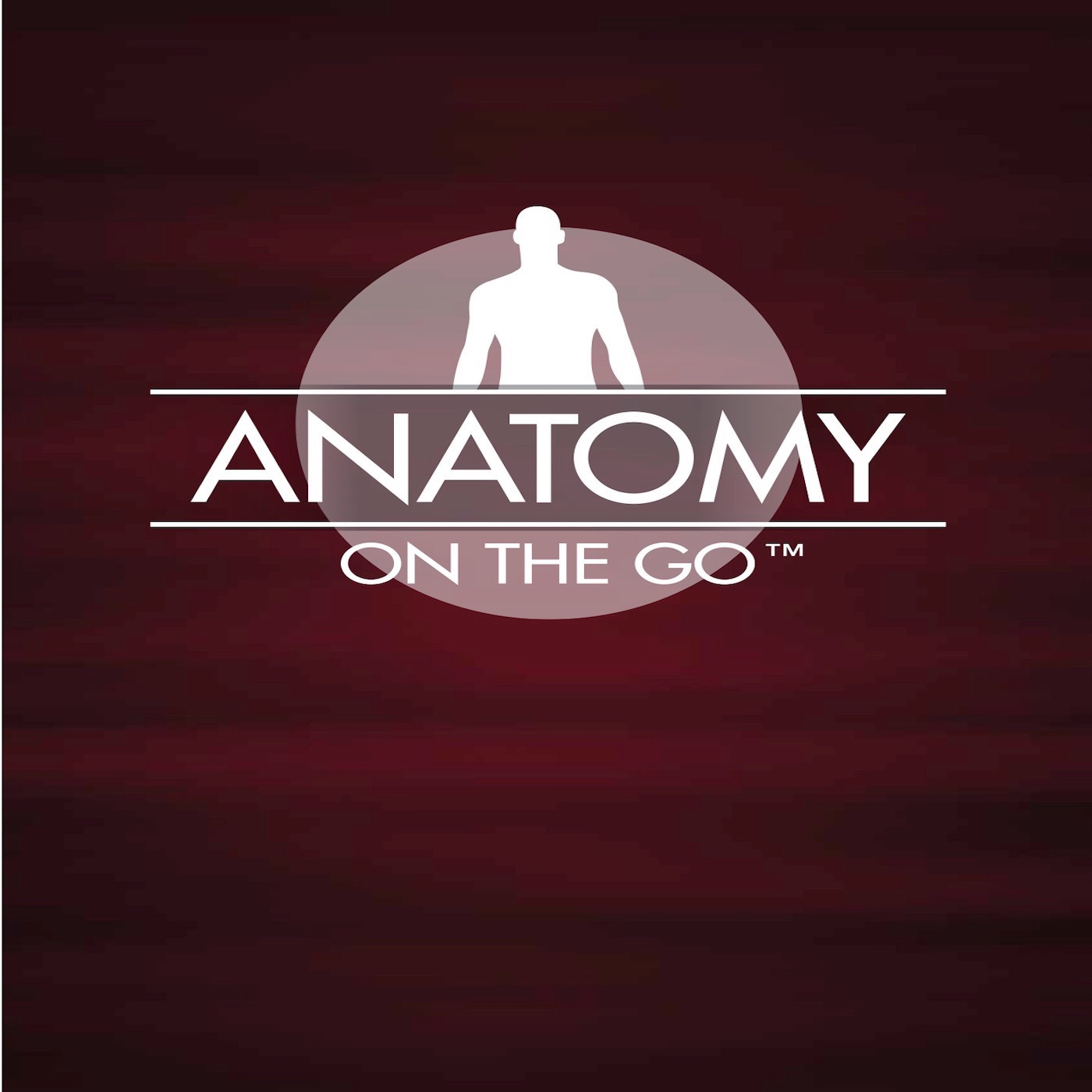 Episode 76: Starting Strong with Learning Anatomy