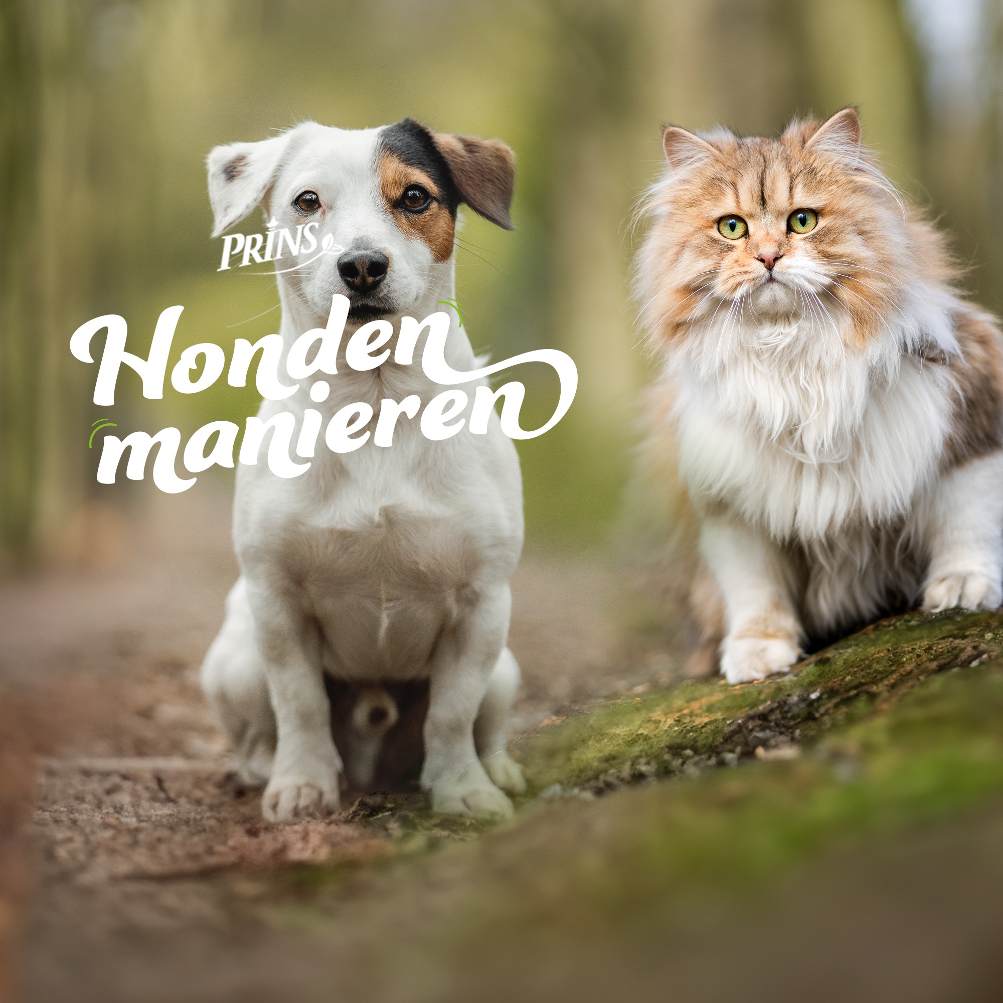 Afl 26. Hond & Kat: Samenleven zonder Gedoe episode artwork