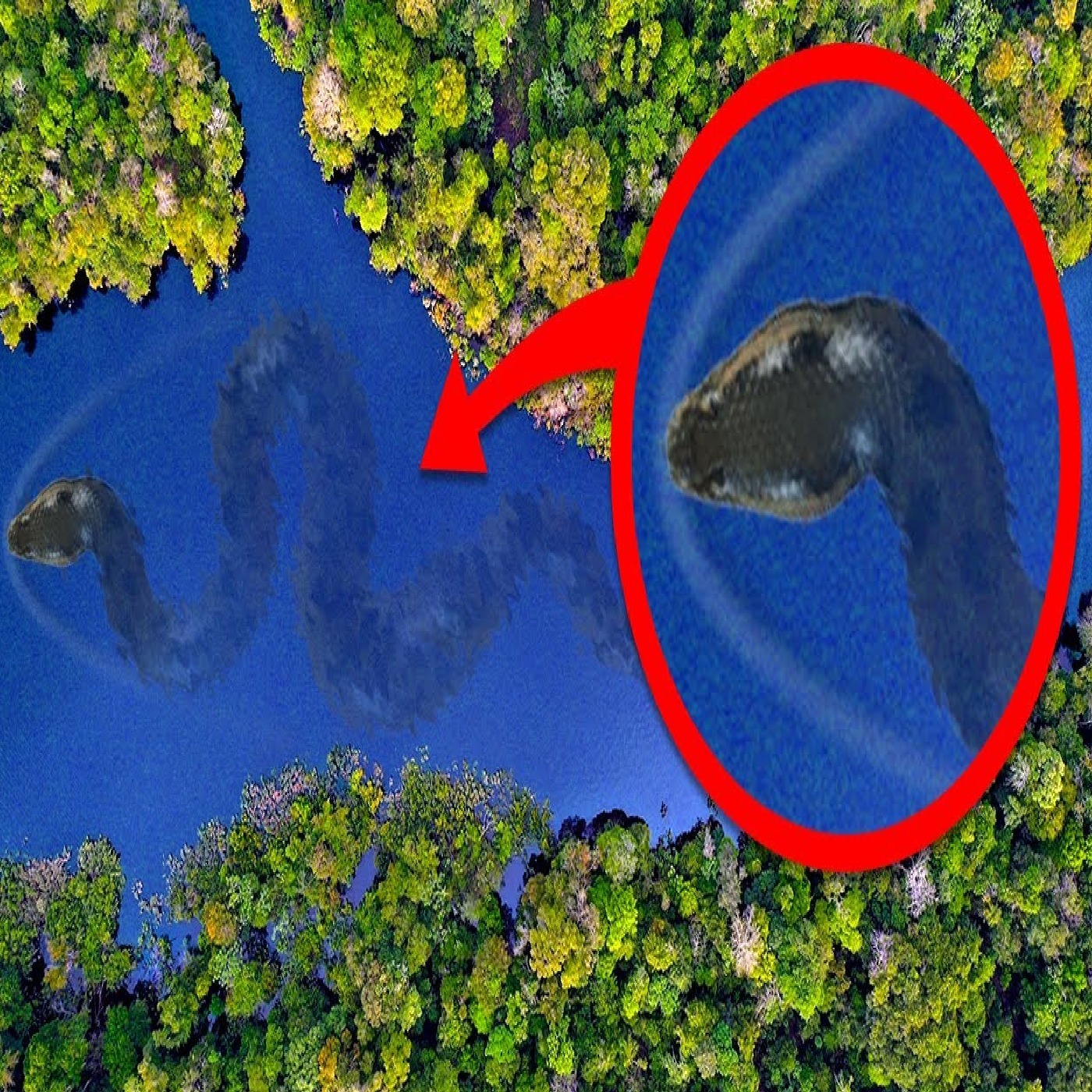 Why The Amazon River Has No Bridges