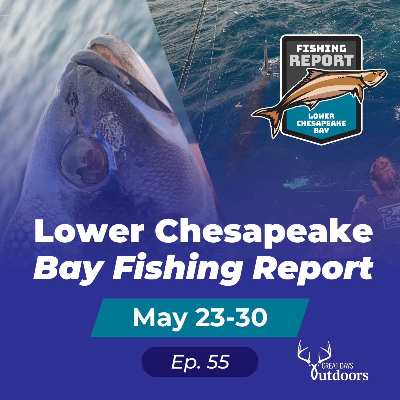 Seabass, Blue Marlin & Busy Boat Ramps