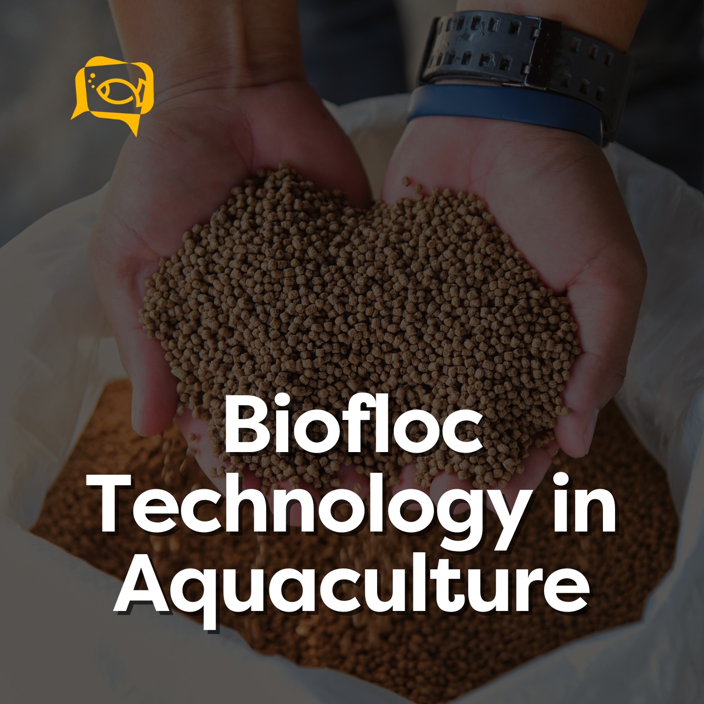 Biofloc Technology in Aquaculture | Ep. 10
