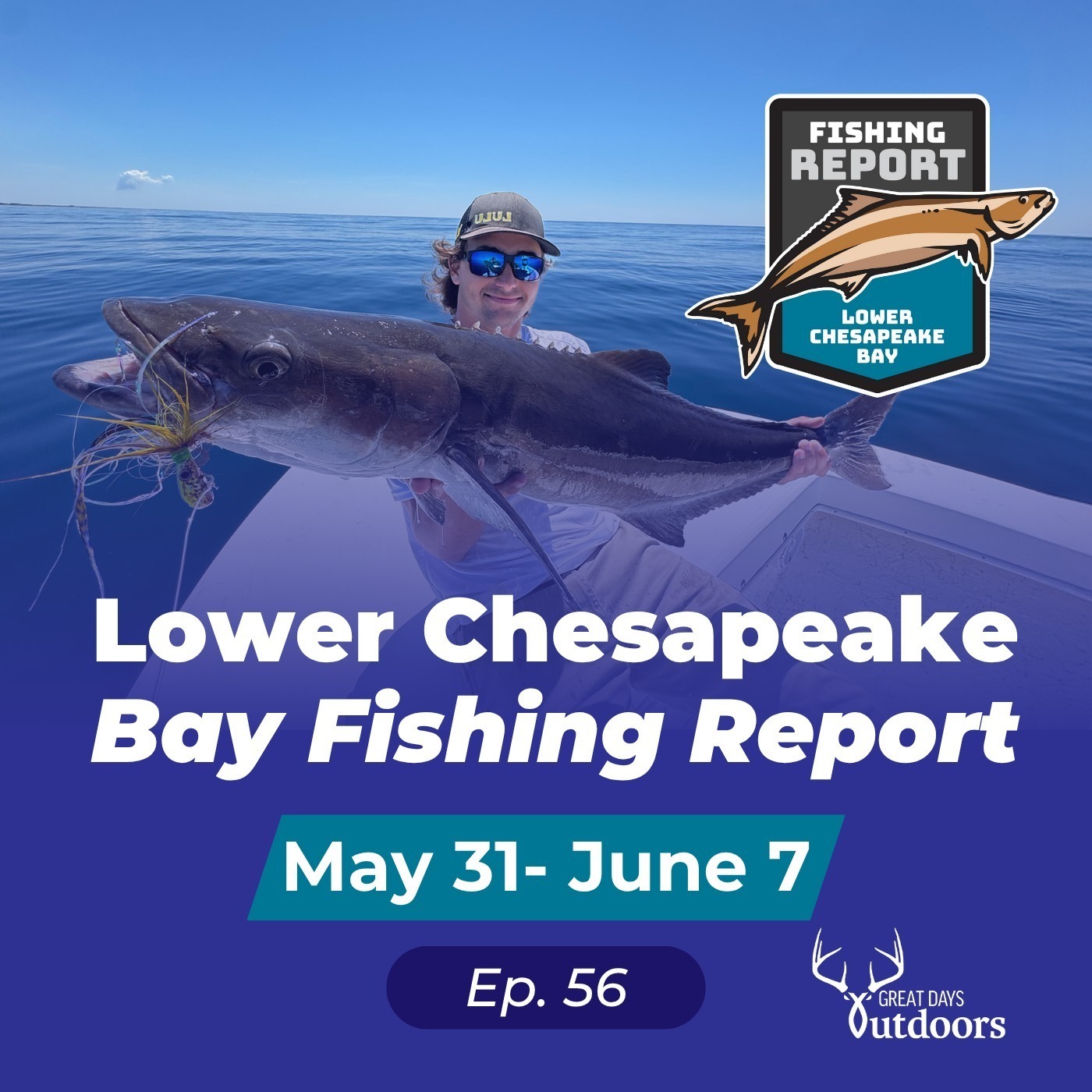 Cobia on the Move & Upcoming Tournament