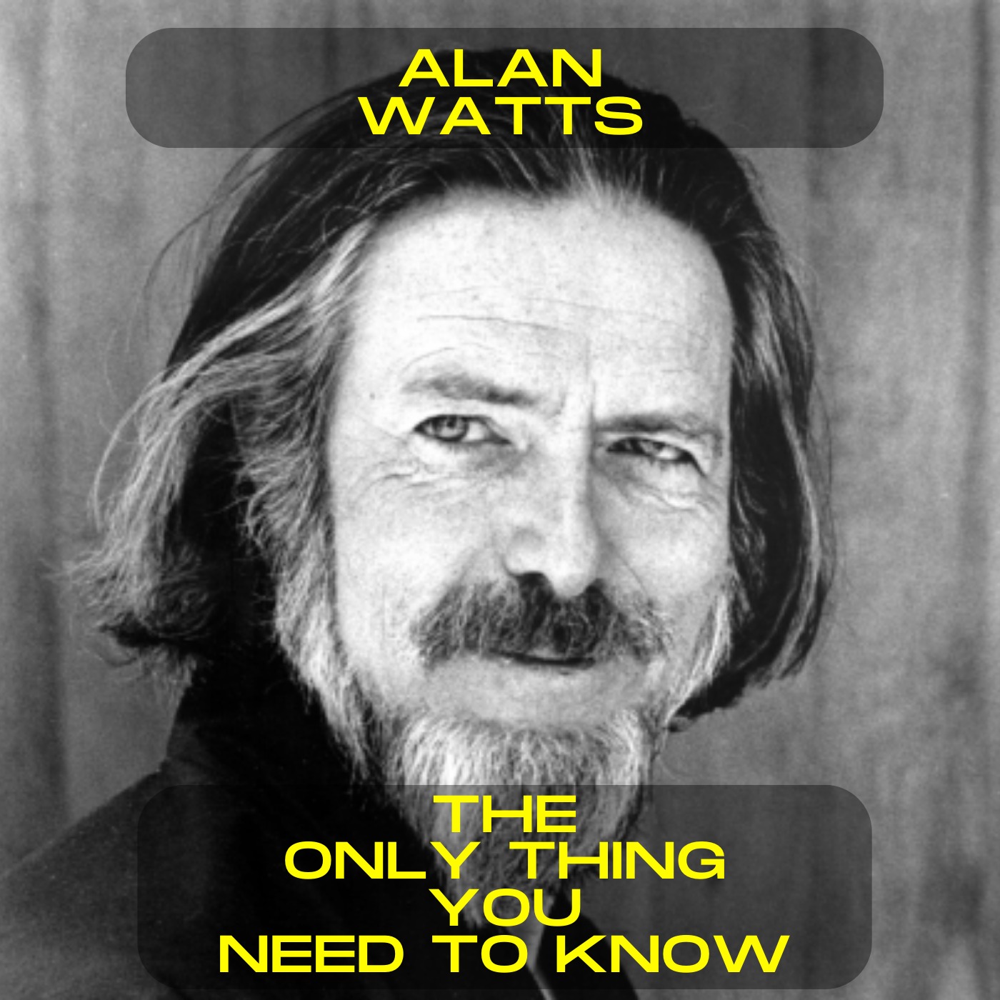 Alan Watts - The only thing you need to know motivational speech