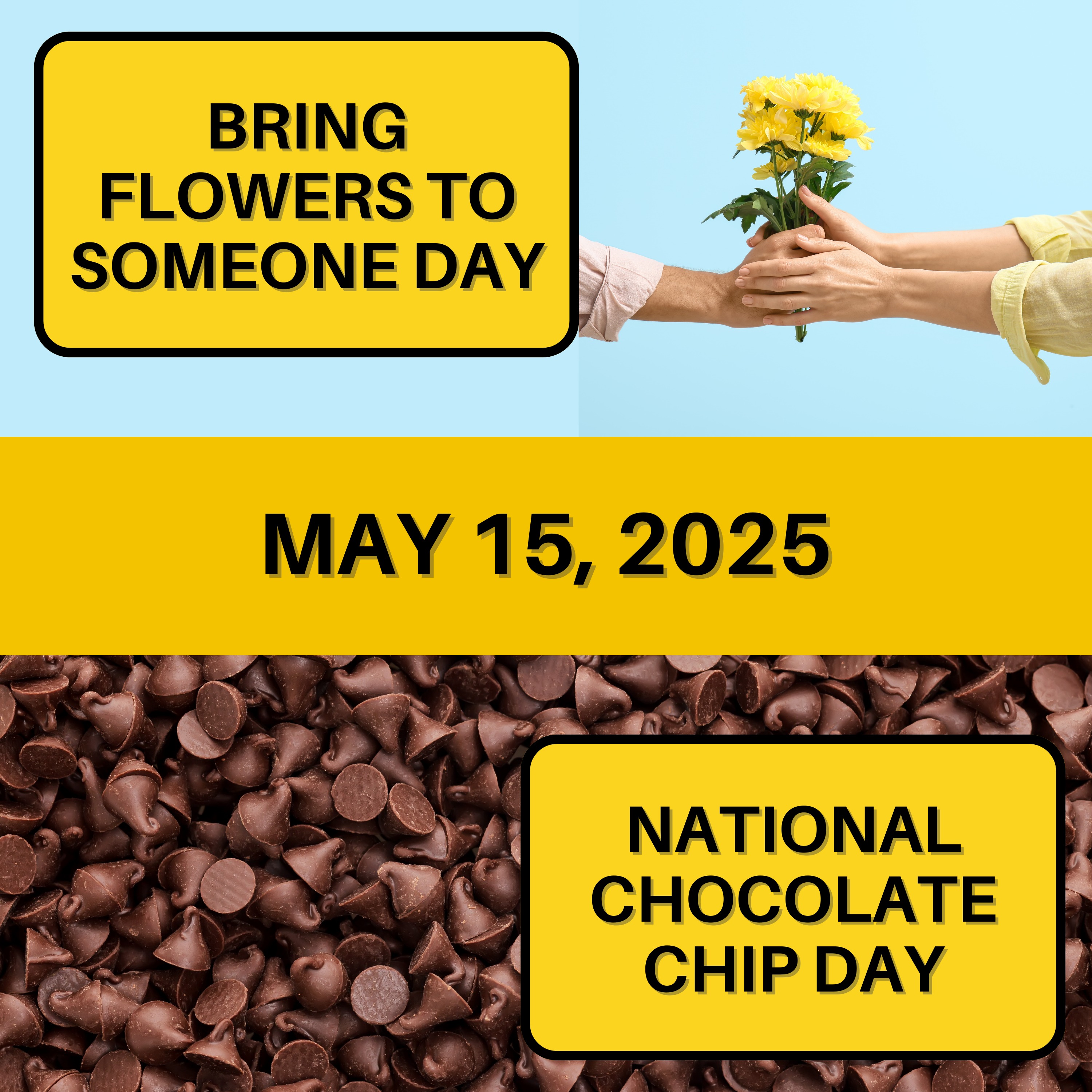 Bring Flowers To Someone Day & National Chocolate Chip Day