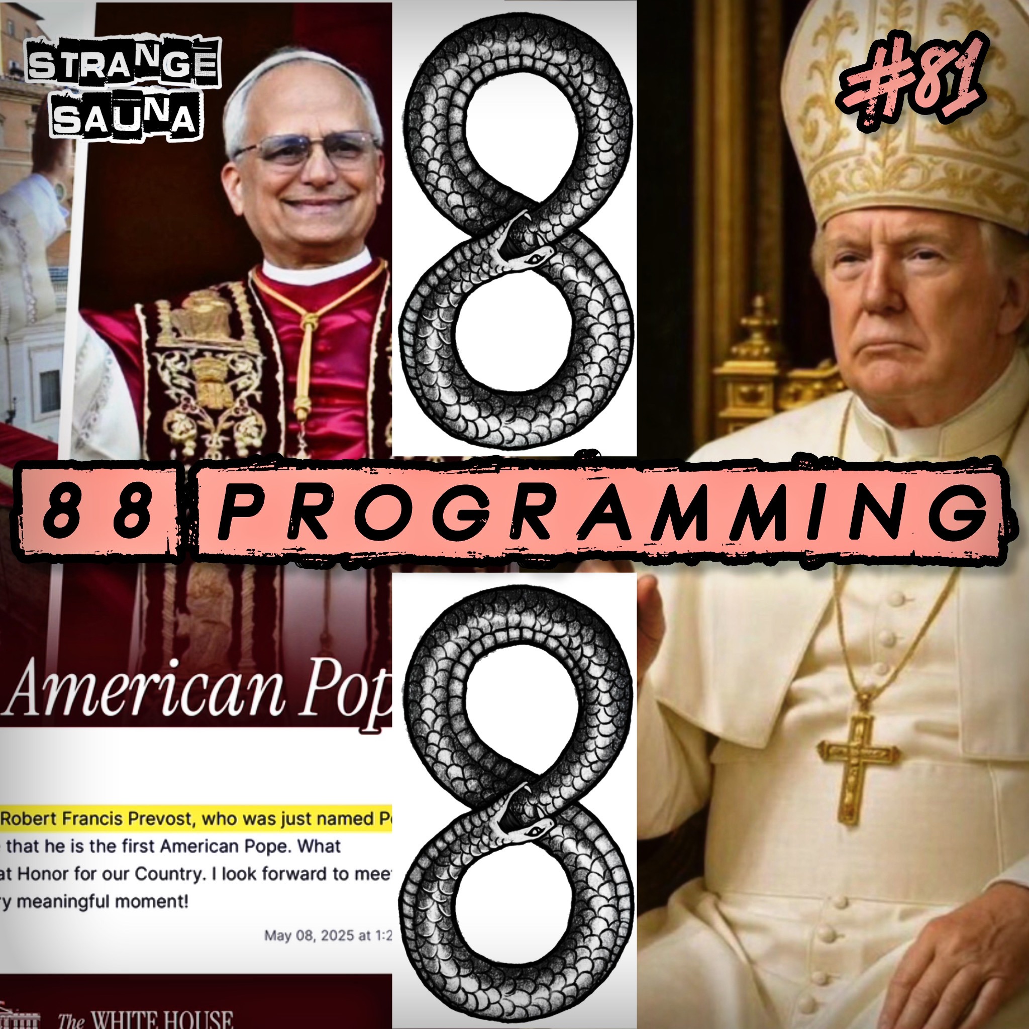 Strange Pope Connection, the Number 88 & Predictive Programming