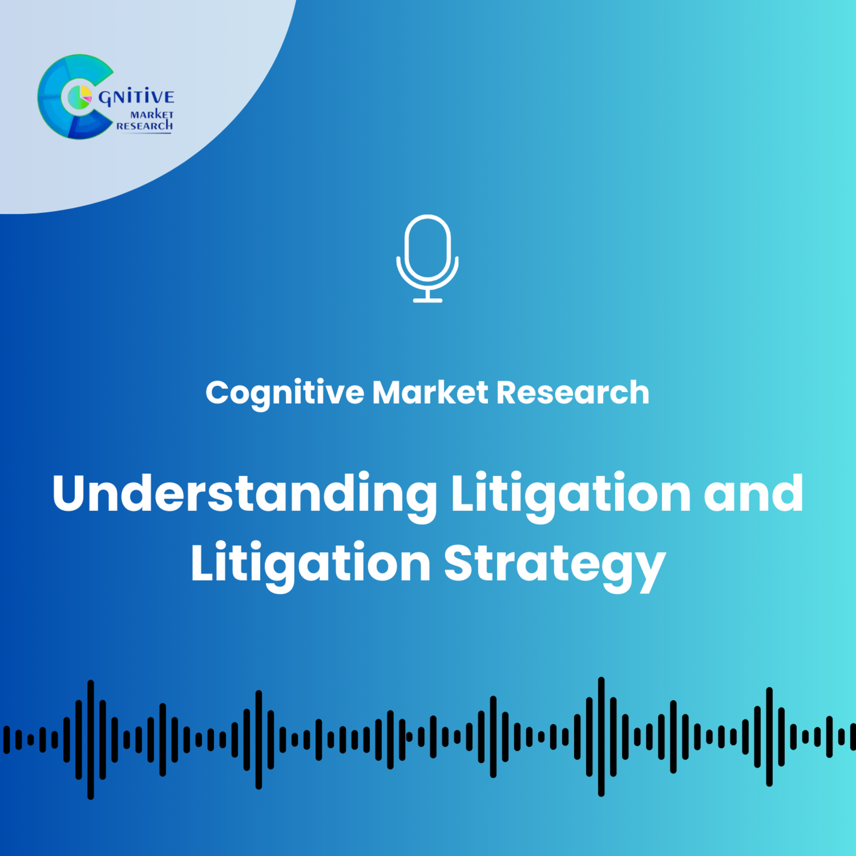 Understanding Litigation and Litigation Strategy episode artwork