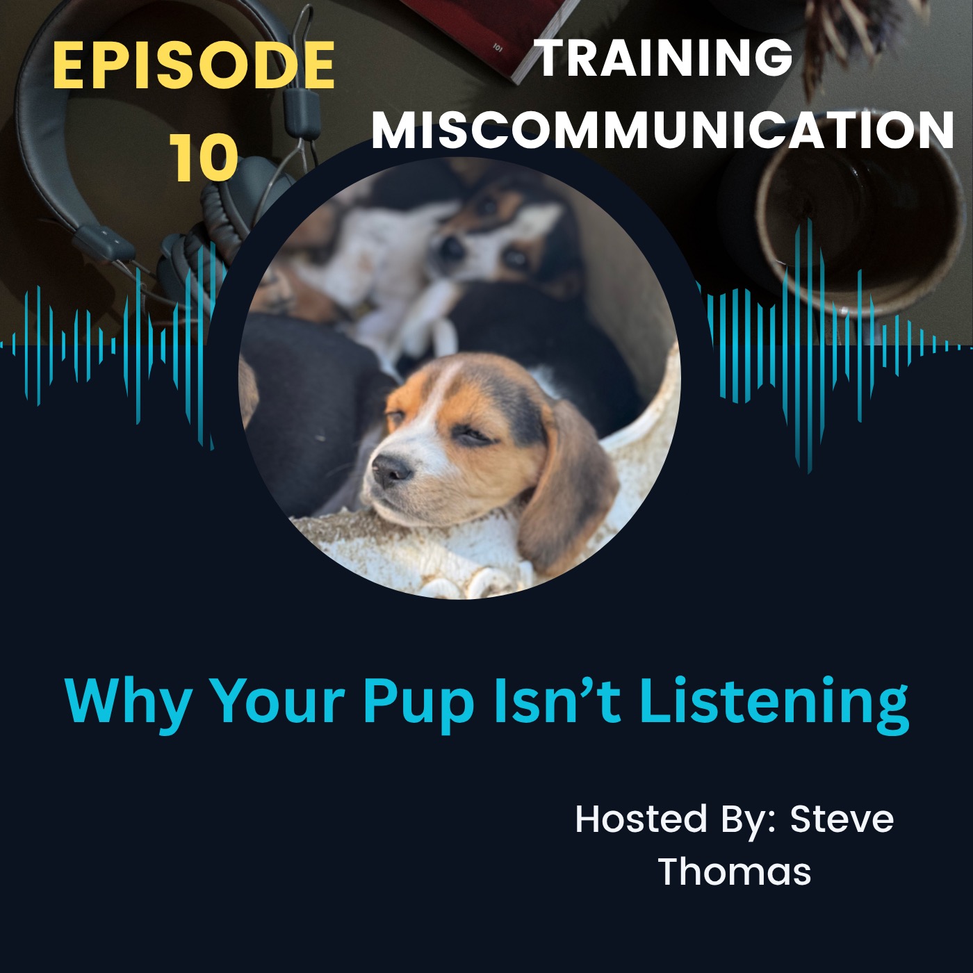 Ep. 10 Miscommunication is Effecting Your Dog Training