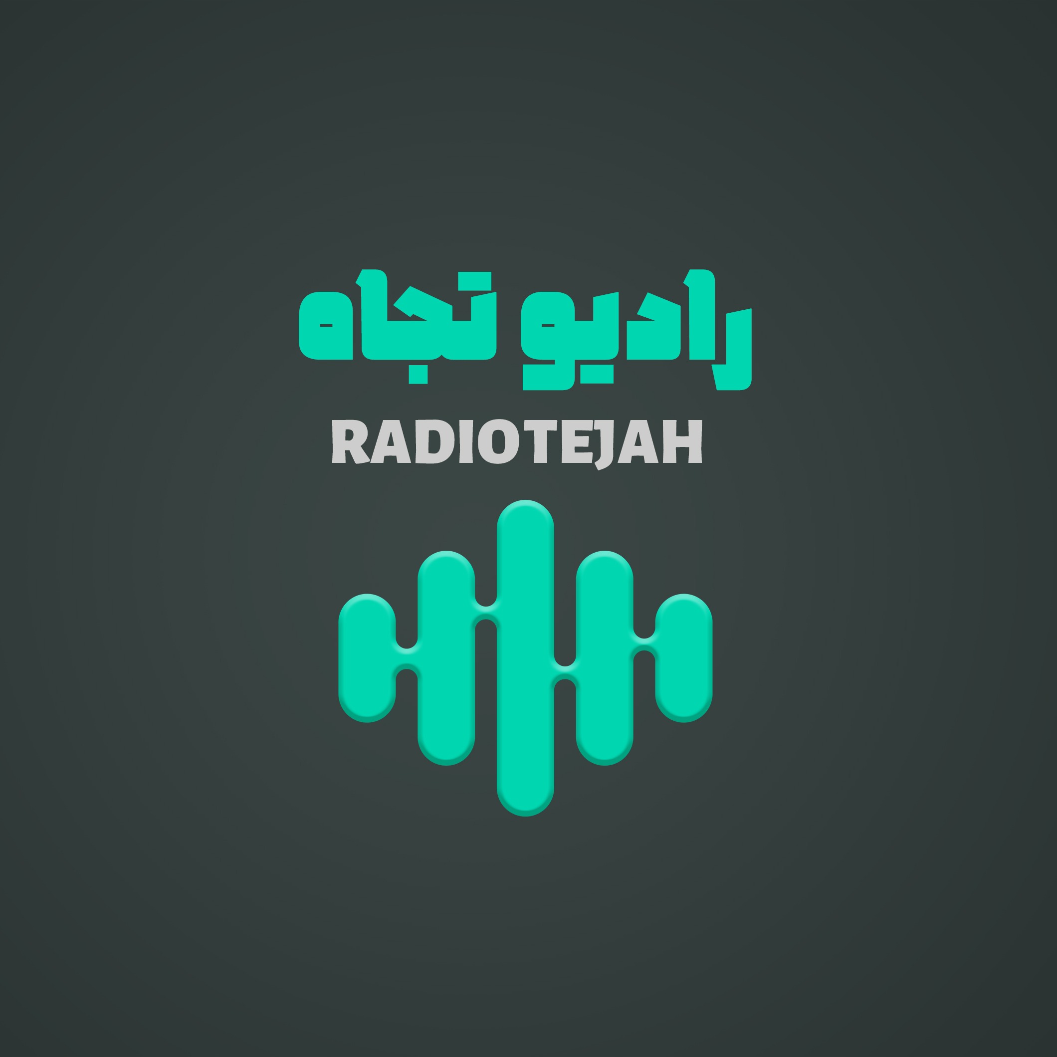 Audio Player Image