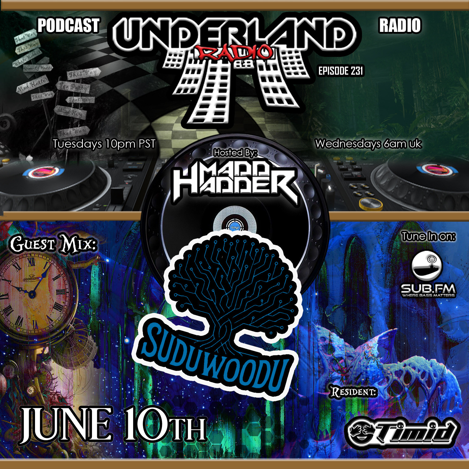 Episode 0231 Underland Radio - Guest Mix DJ Suduwoodu