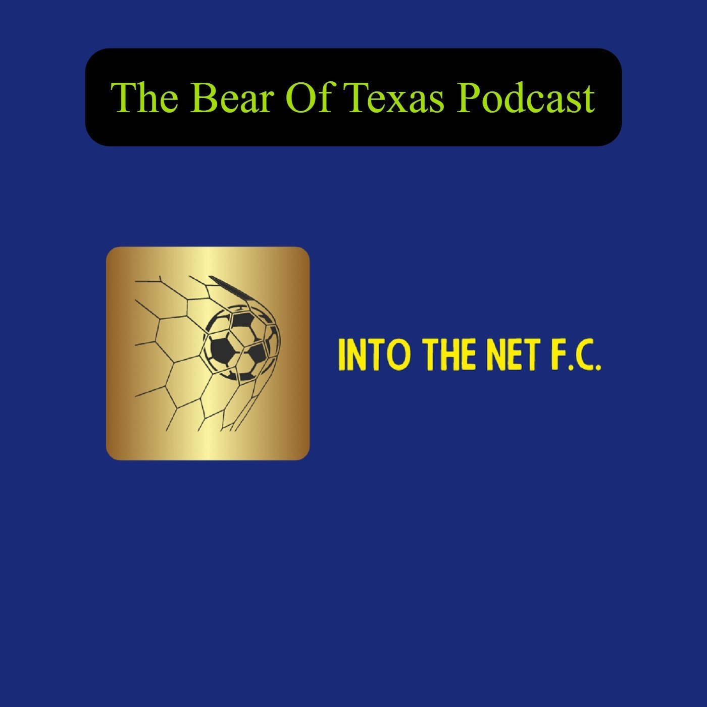 Into The Net F.C.