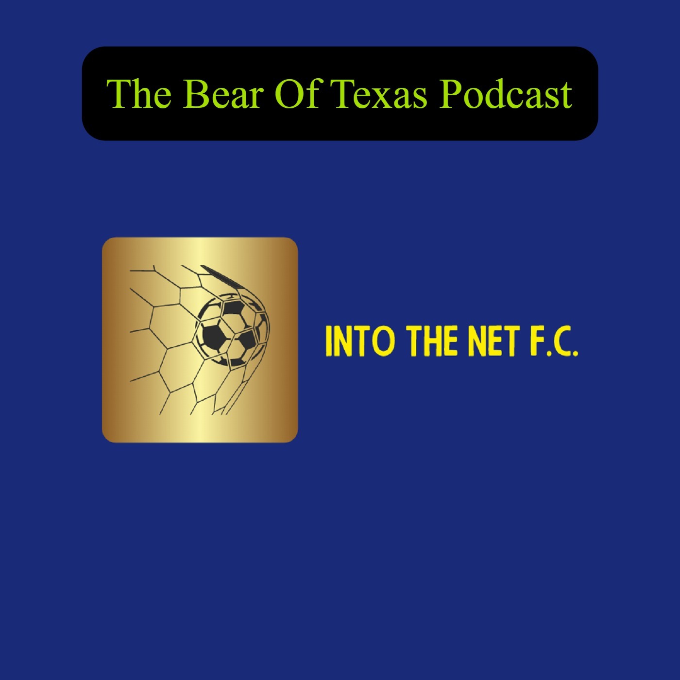 Into The Net F.C.