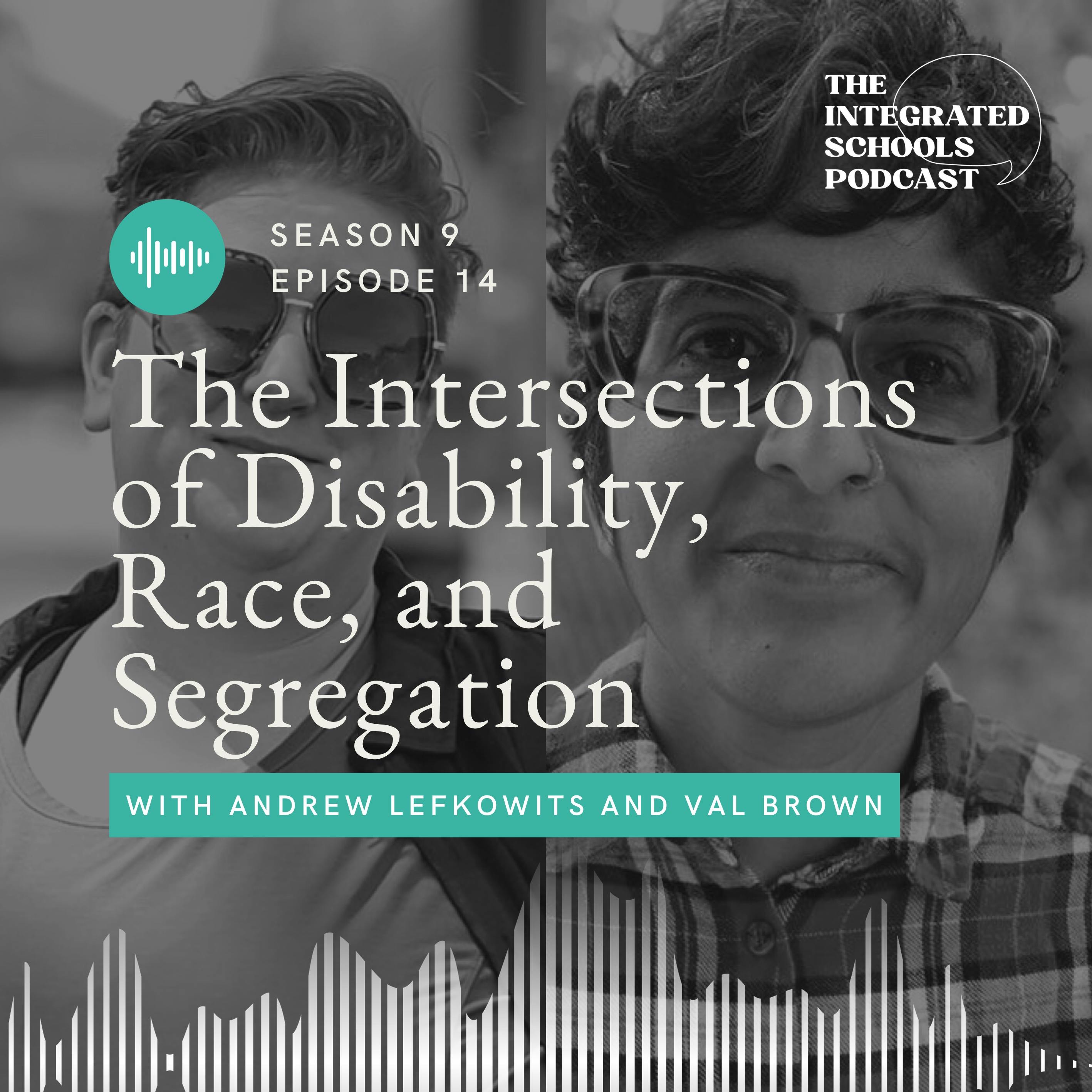 The Intersections of Disability, Race, and Segregation episode artwork