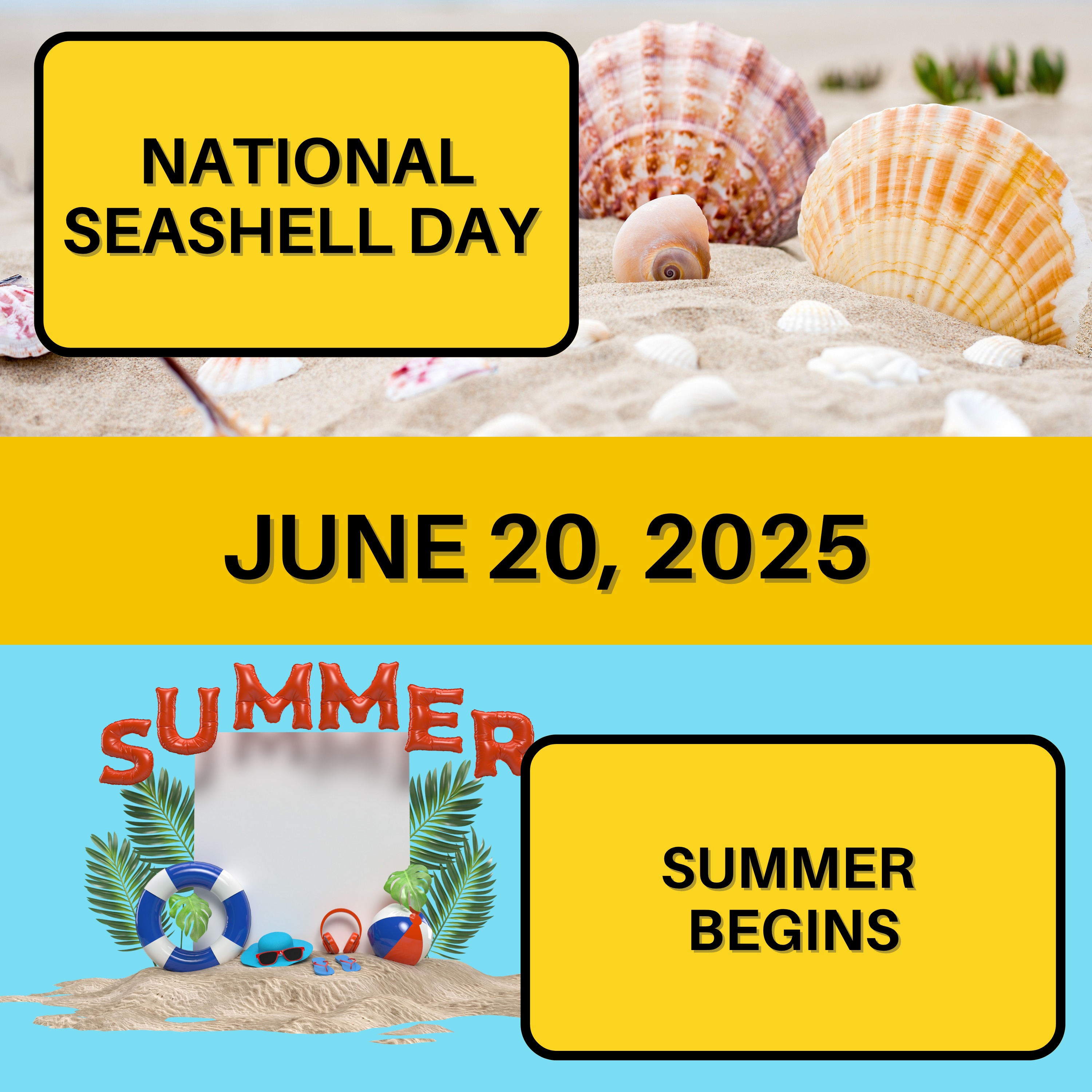 National Seashell Day & First Day of Summer