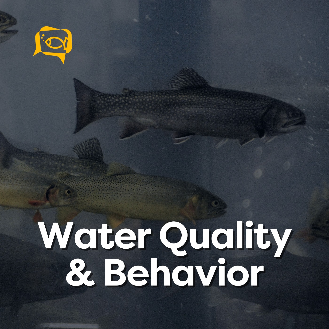 Water Quality & Behavior | Ep. 14
