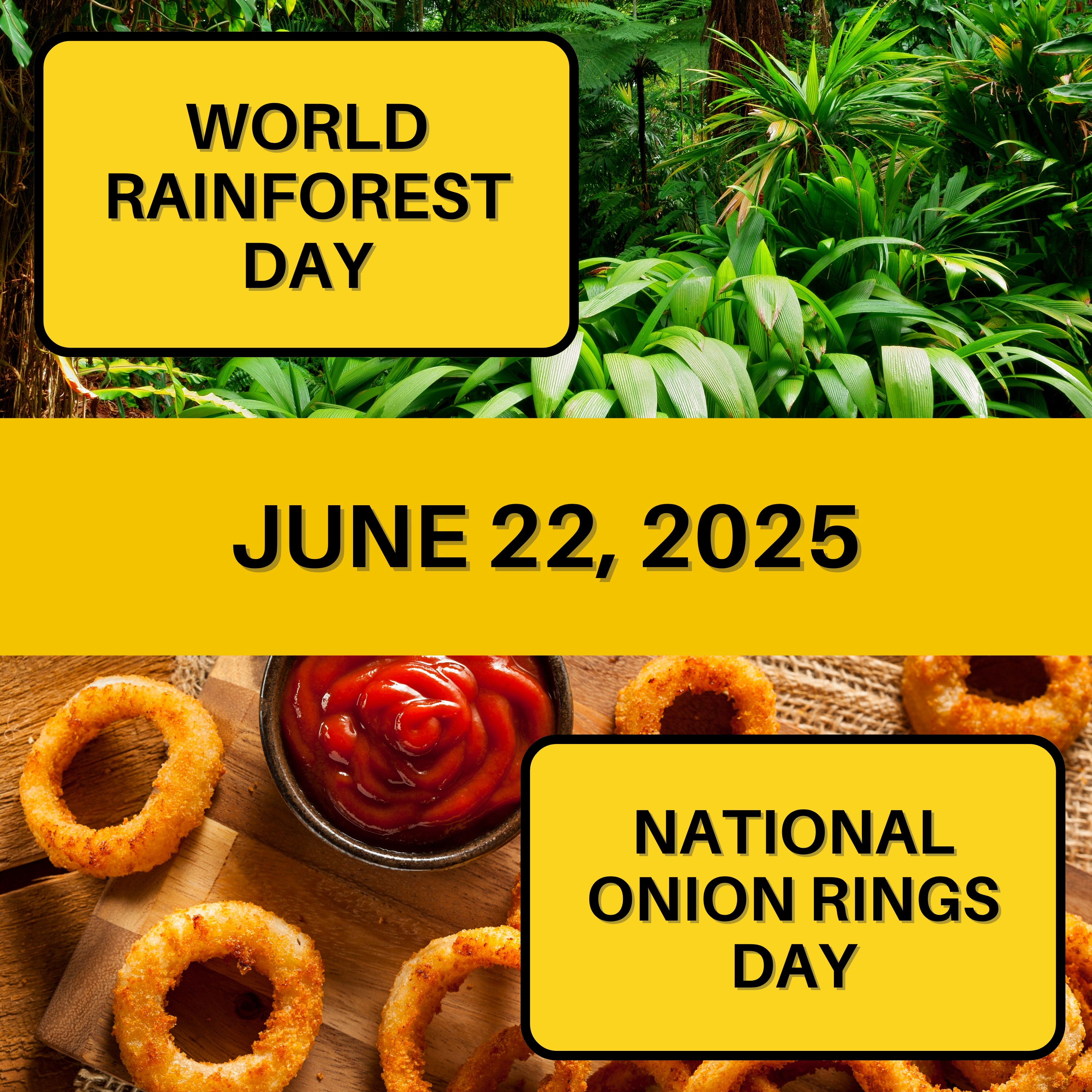 World Rainforest Day & National Onion Rings Day