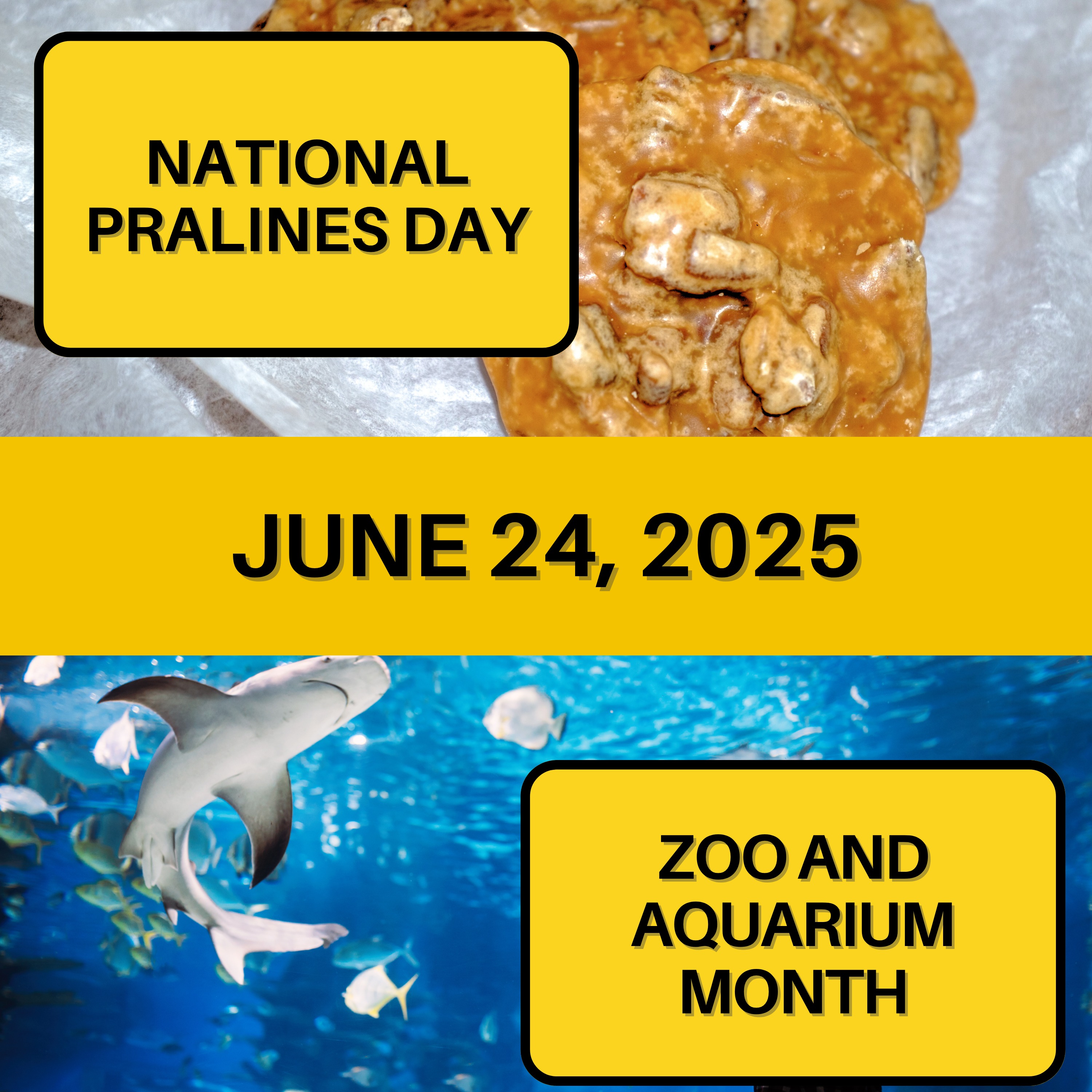 National Pralines Day & National Zoo and Aquarium Month