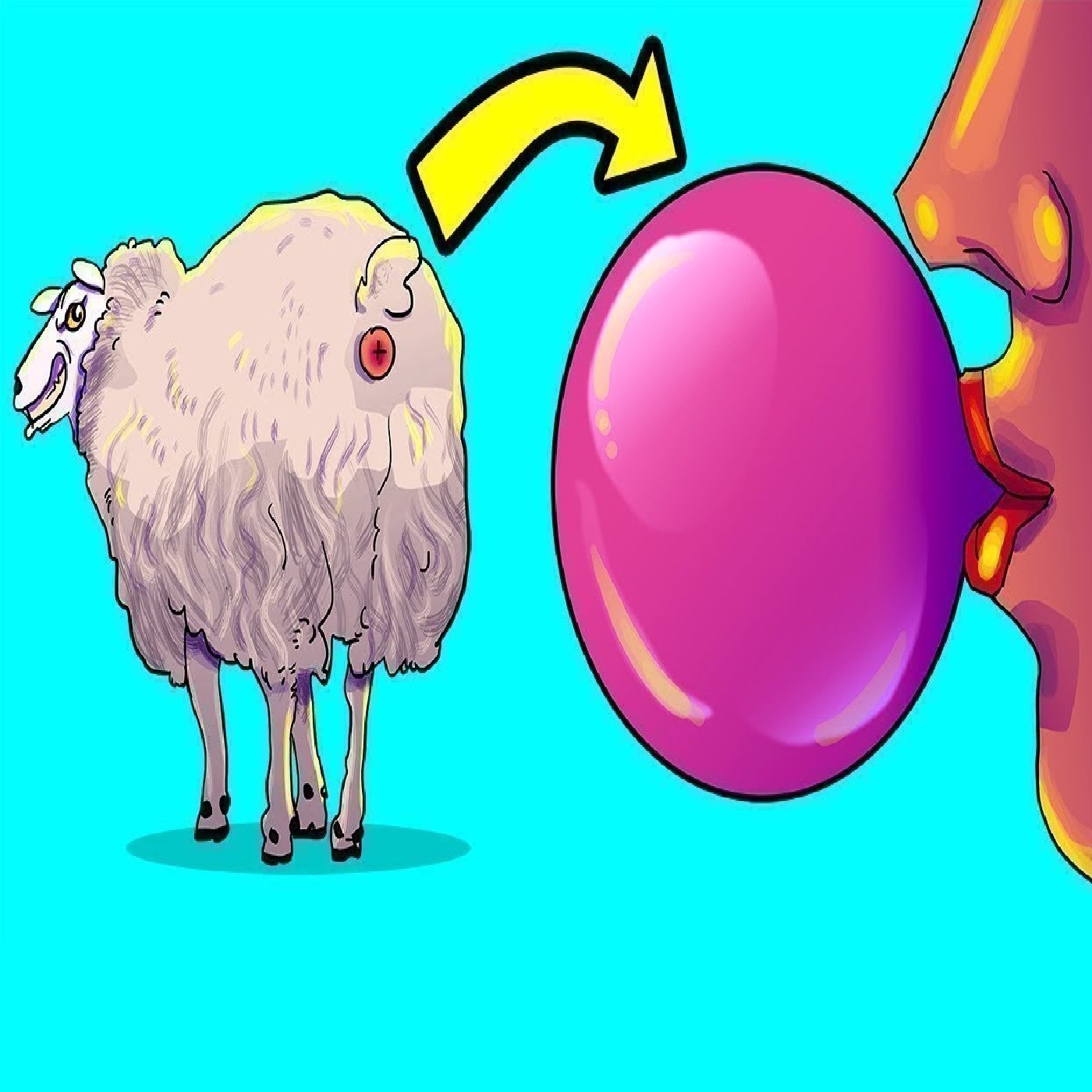 You’ll Never Eat This Again Knowing How It’s Made