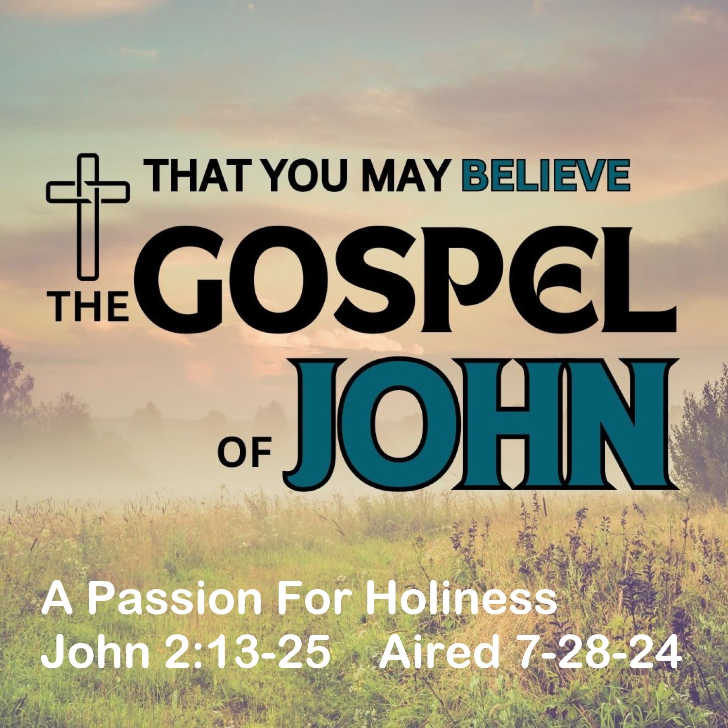 2024.07.28  A Passion for Holiness - John 2:13-25 episode artwork