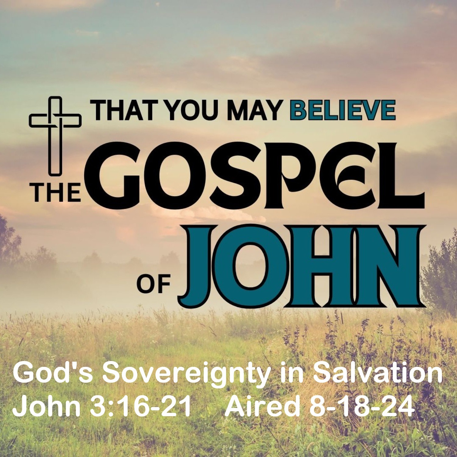 2024.08.18 God’s Sovereignty in Salvation - John 3:16-21 episode artwork
